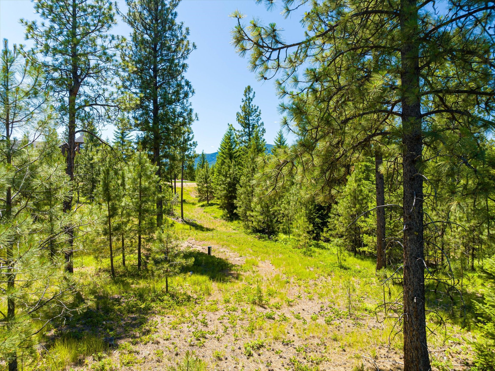 40149 Us Hwy 2 W Property Photo 115