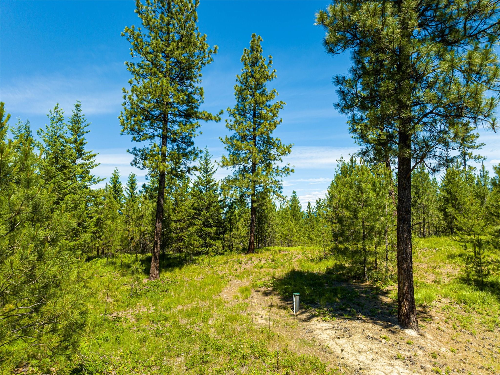 40149 Us Hwy 2 W Property Photo 116