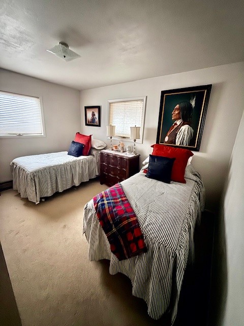 165 Big Lous Lane Property Photo 29