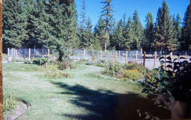 165 Big Lous Lane Property Photo 37