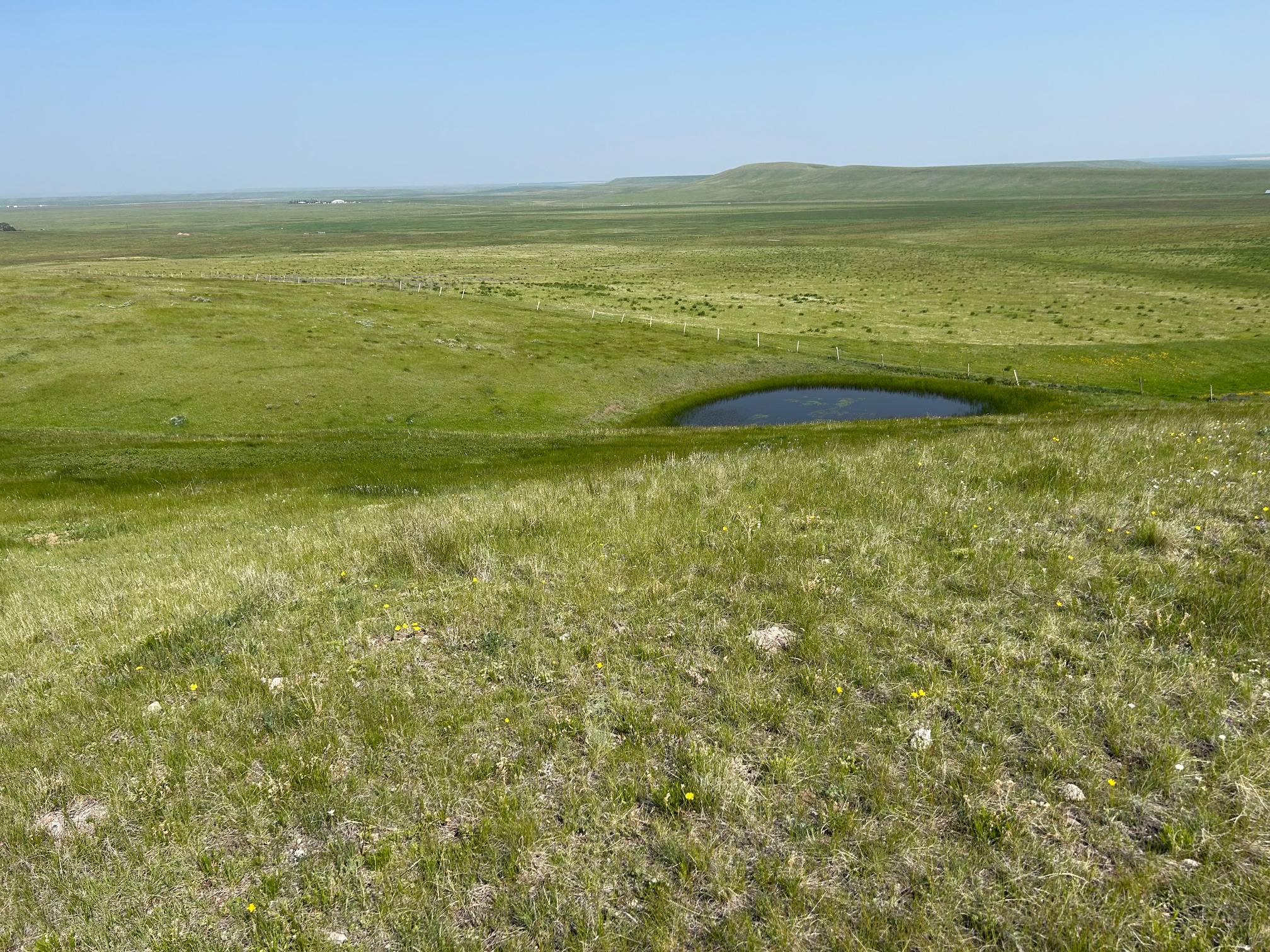 Tbd U Bet Road Property Photo 1