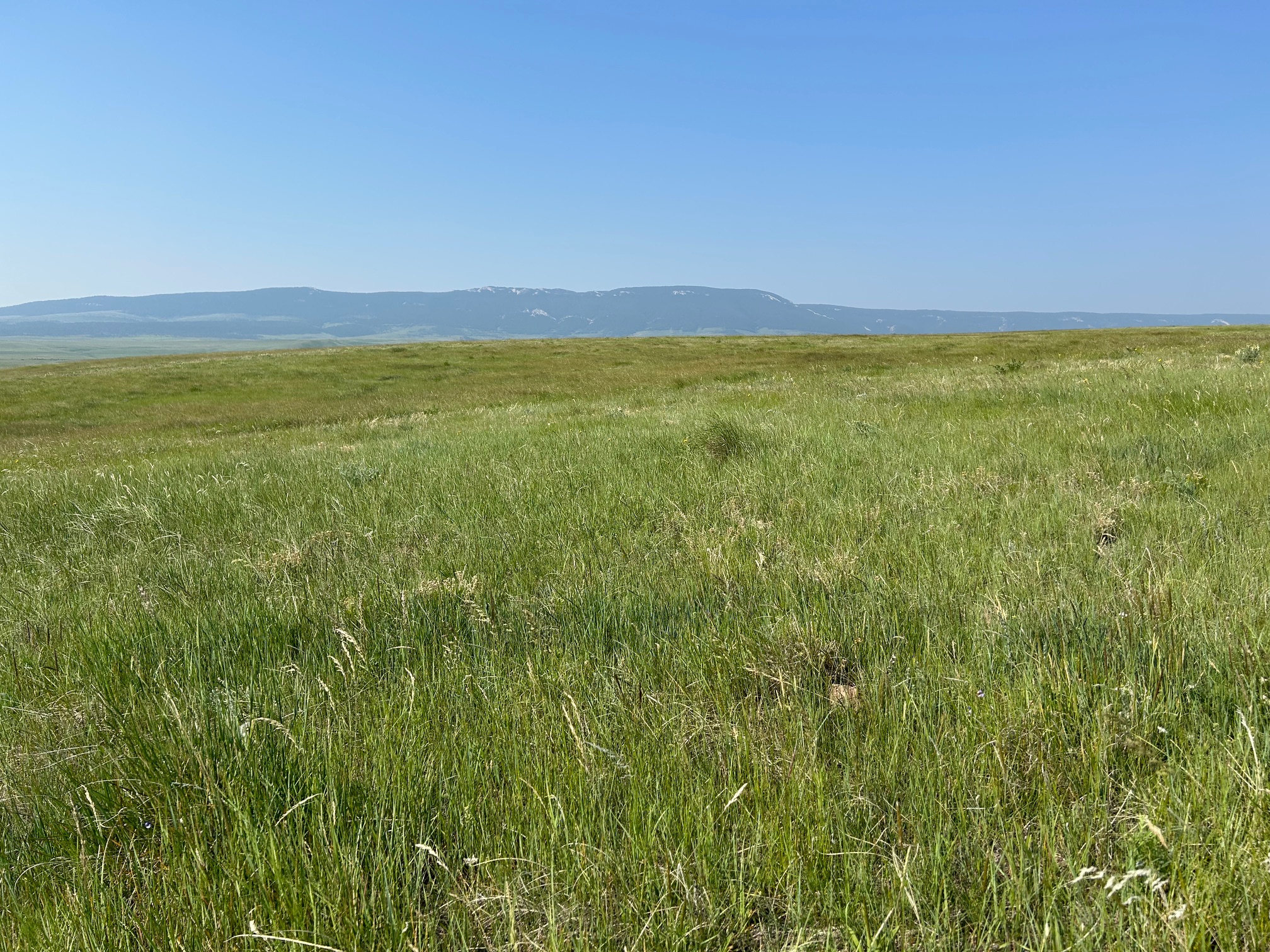 Tbd U Bet Road Property Photo 3