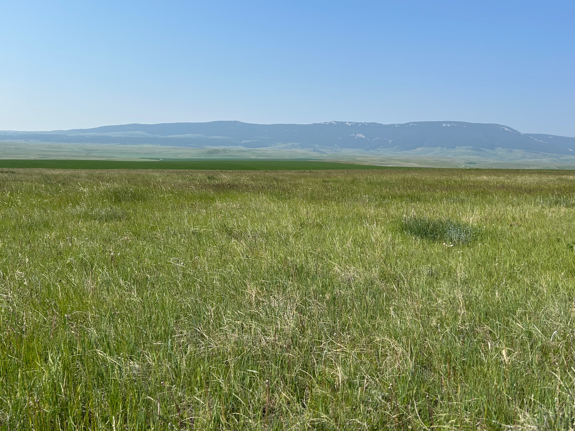 Tbd U Bet Road Property Photo 4