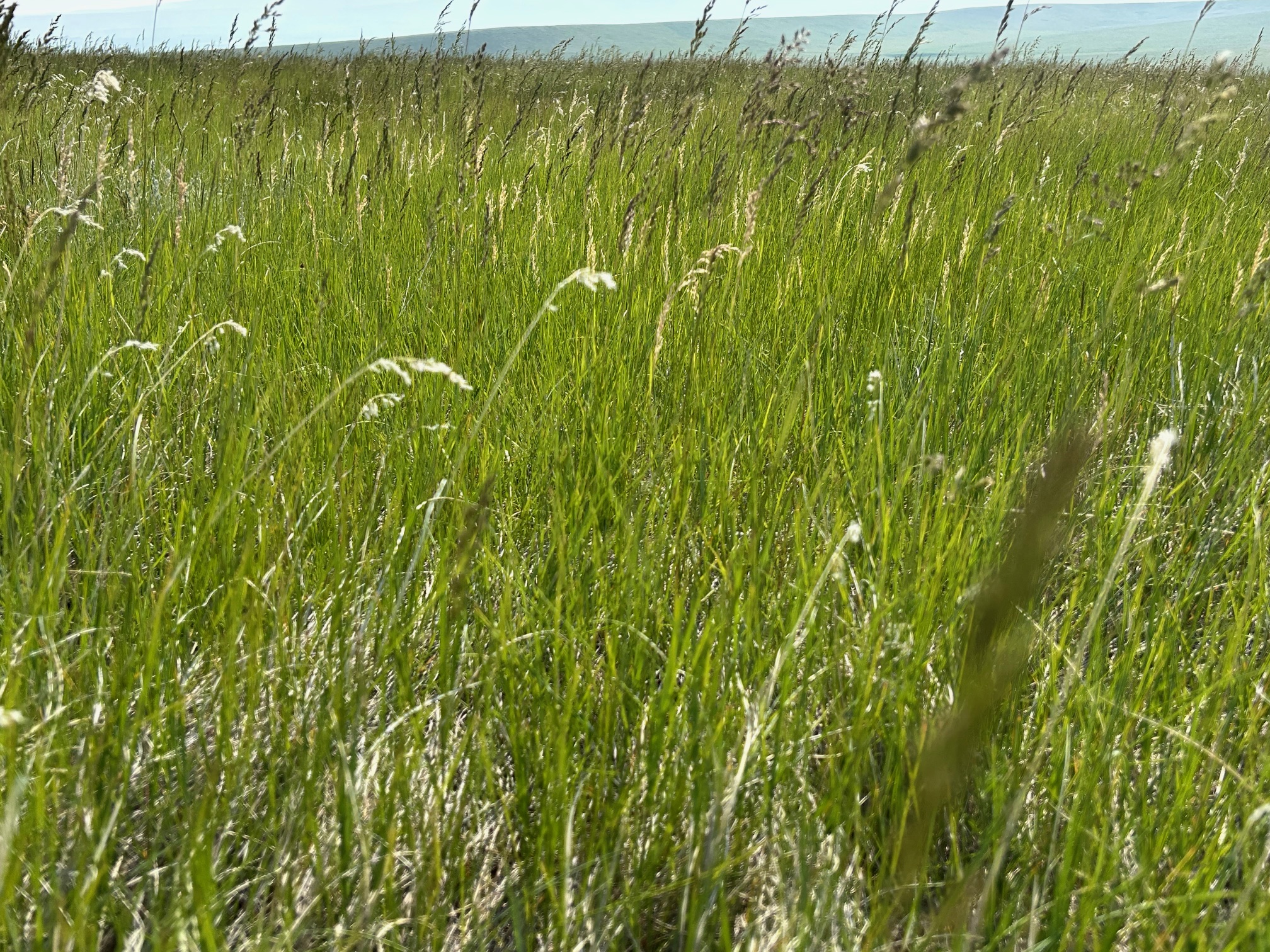 Tbd U Bet Road Property Photo 5