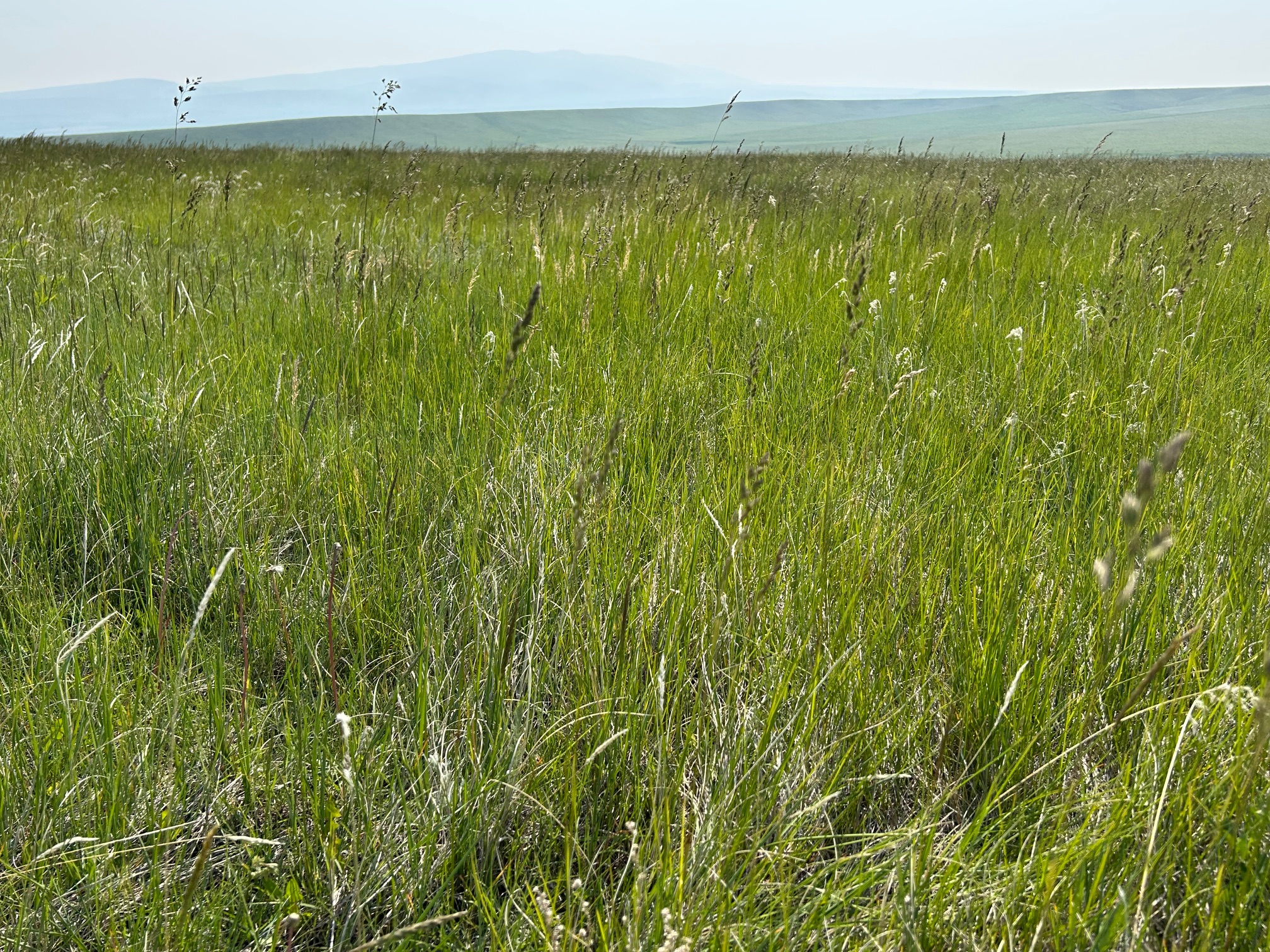 Tbd U Bet Road Property Photo 6