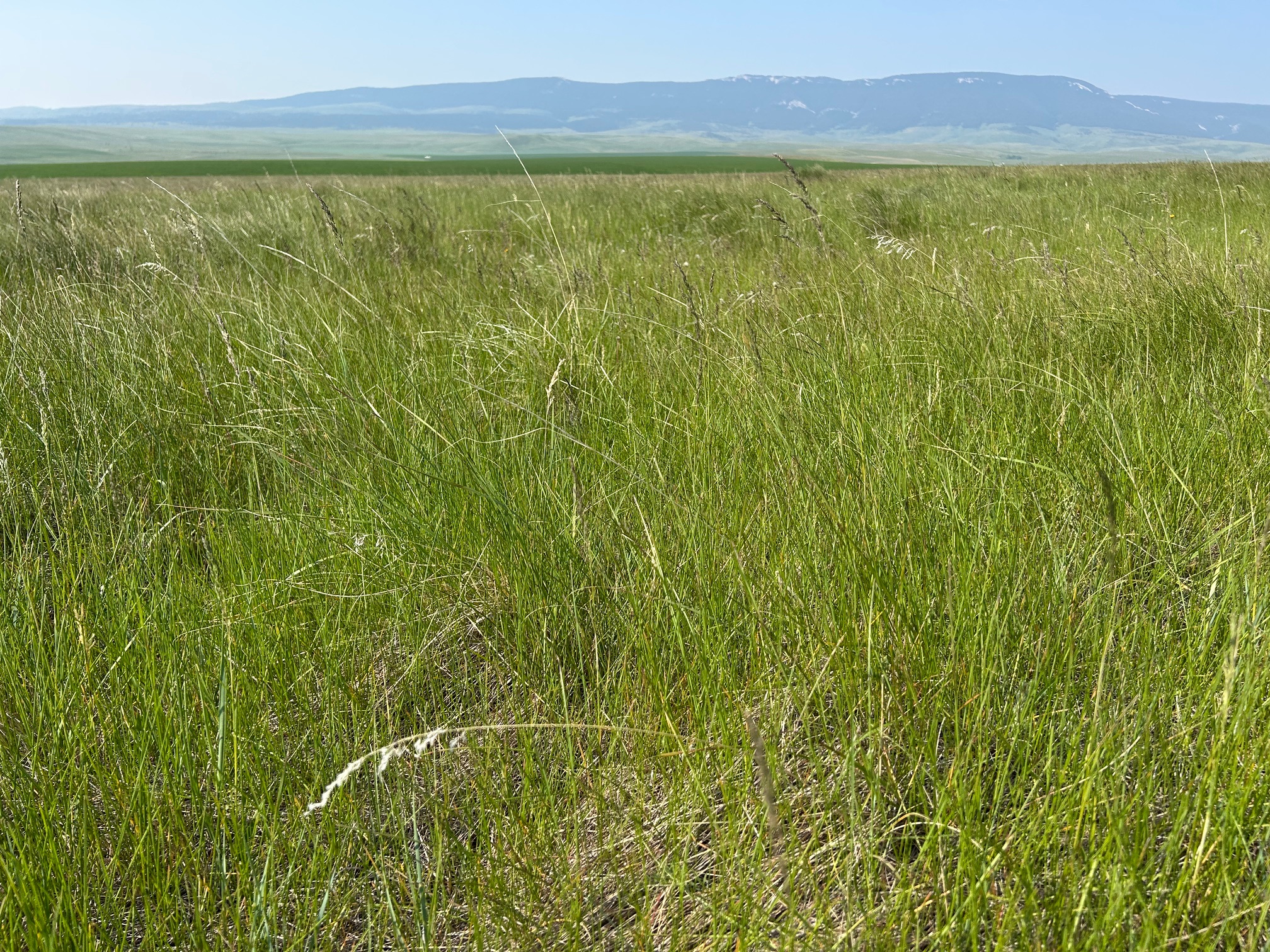 Tbd U Bet Road Property Photo 7
