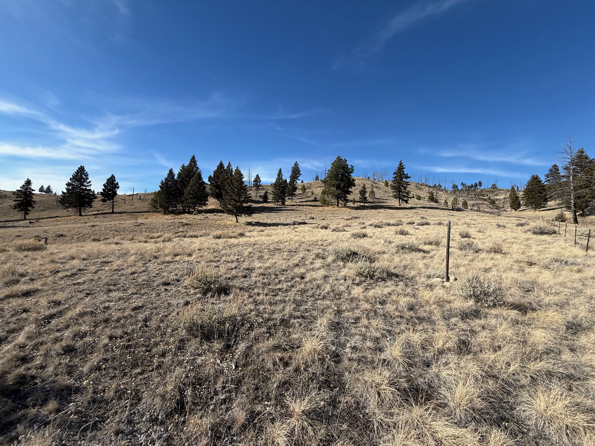 83 Nursery Creek Road Property Photo 33
