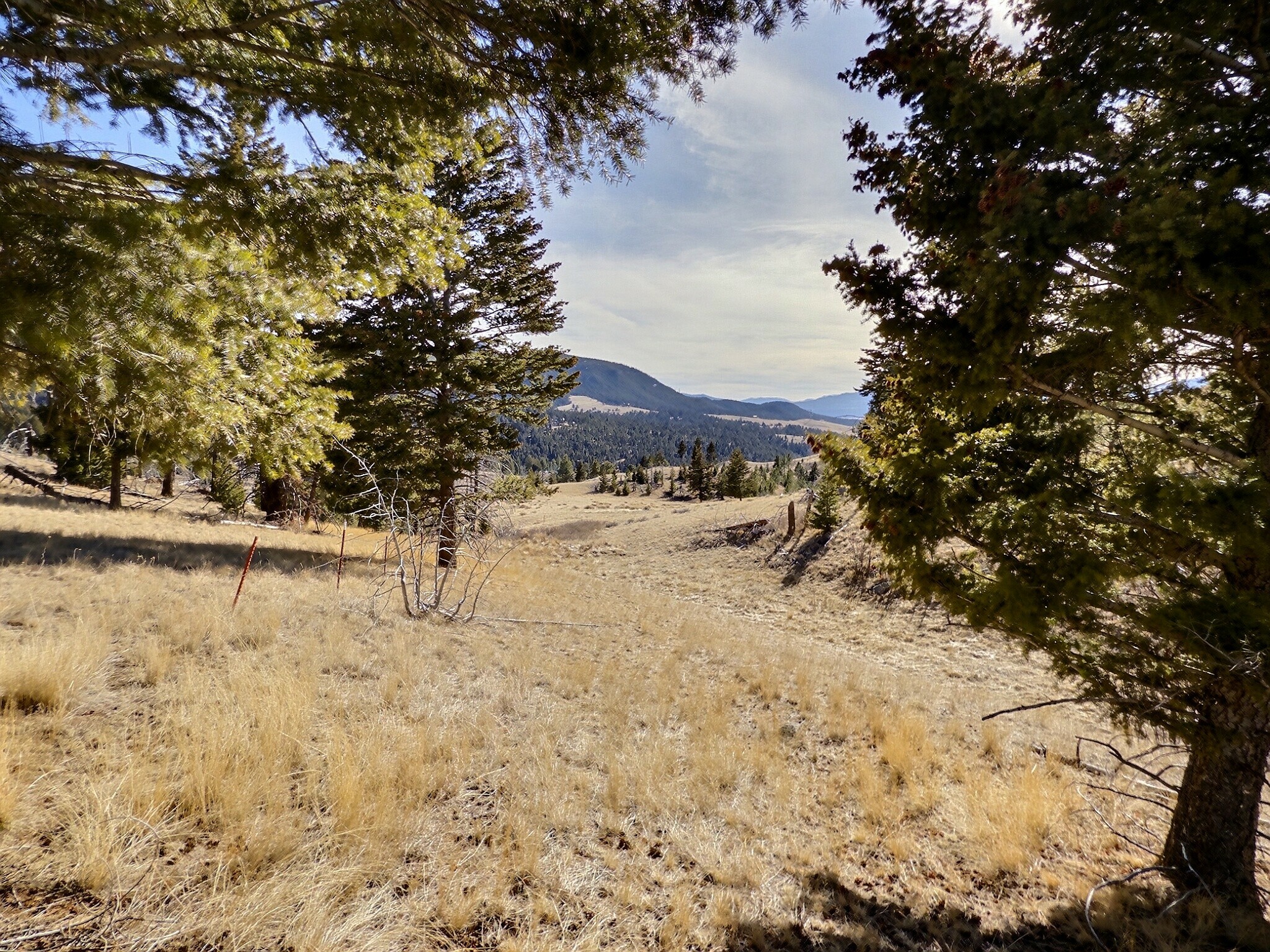 83 Nursery Creek Road Property Photo 58