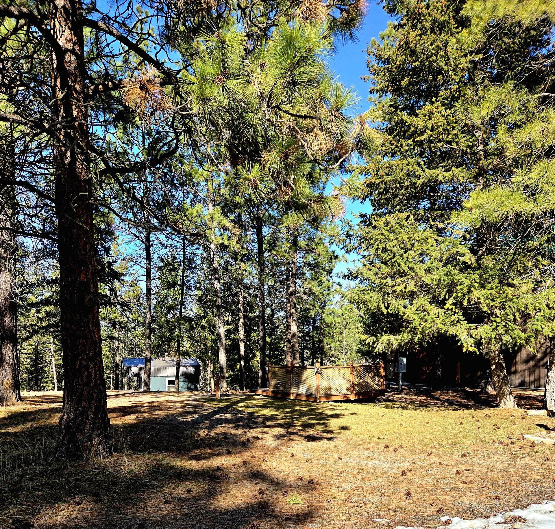 64 Kokanee Drive W Property Photo 11