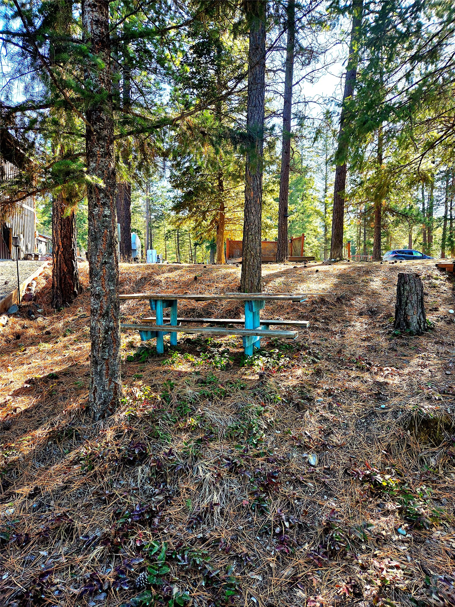 64 Kokanee Drive W Property Photo 29