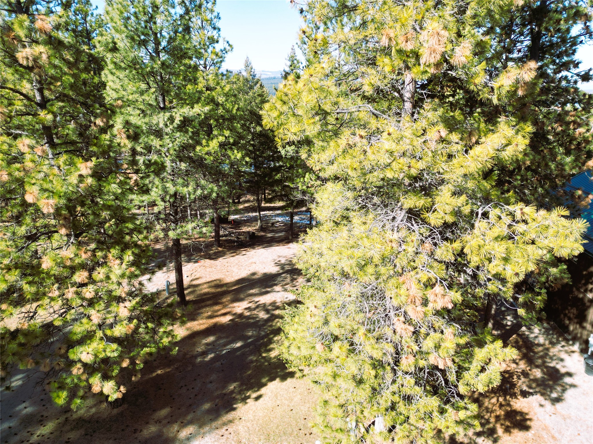 64 Kokanee Drive W Property Photo 45