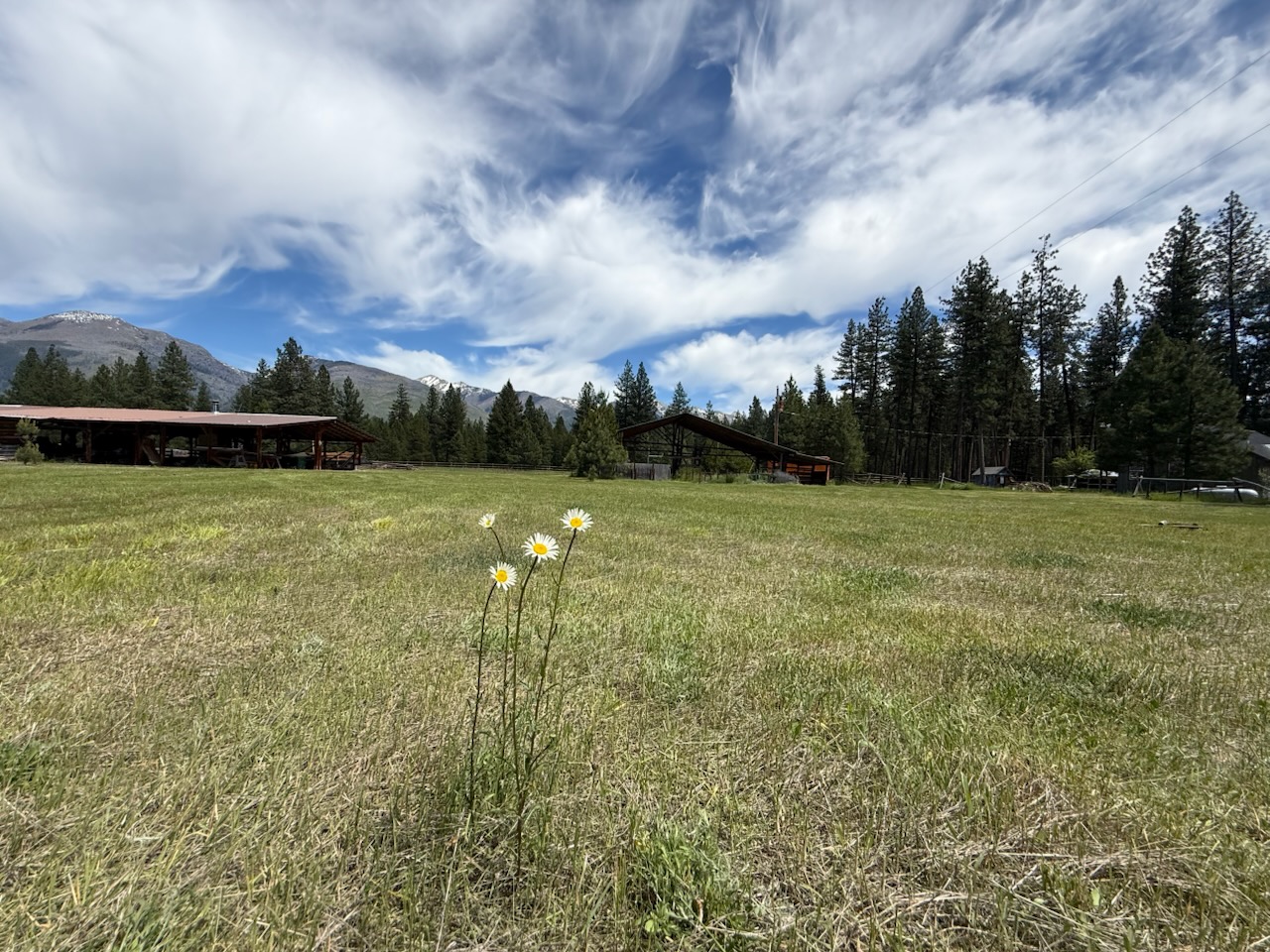 142 Hollopeter Road Property Photo 66