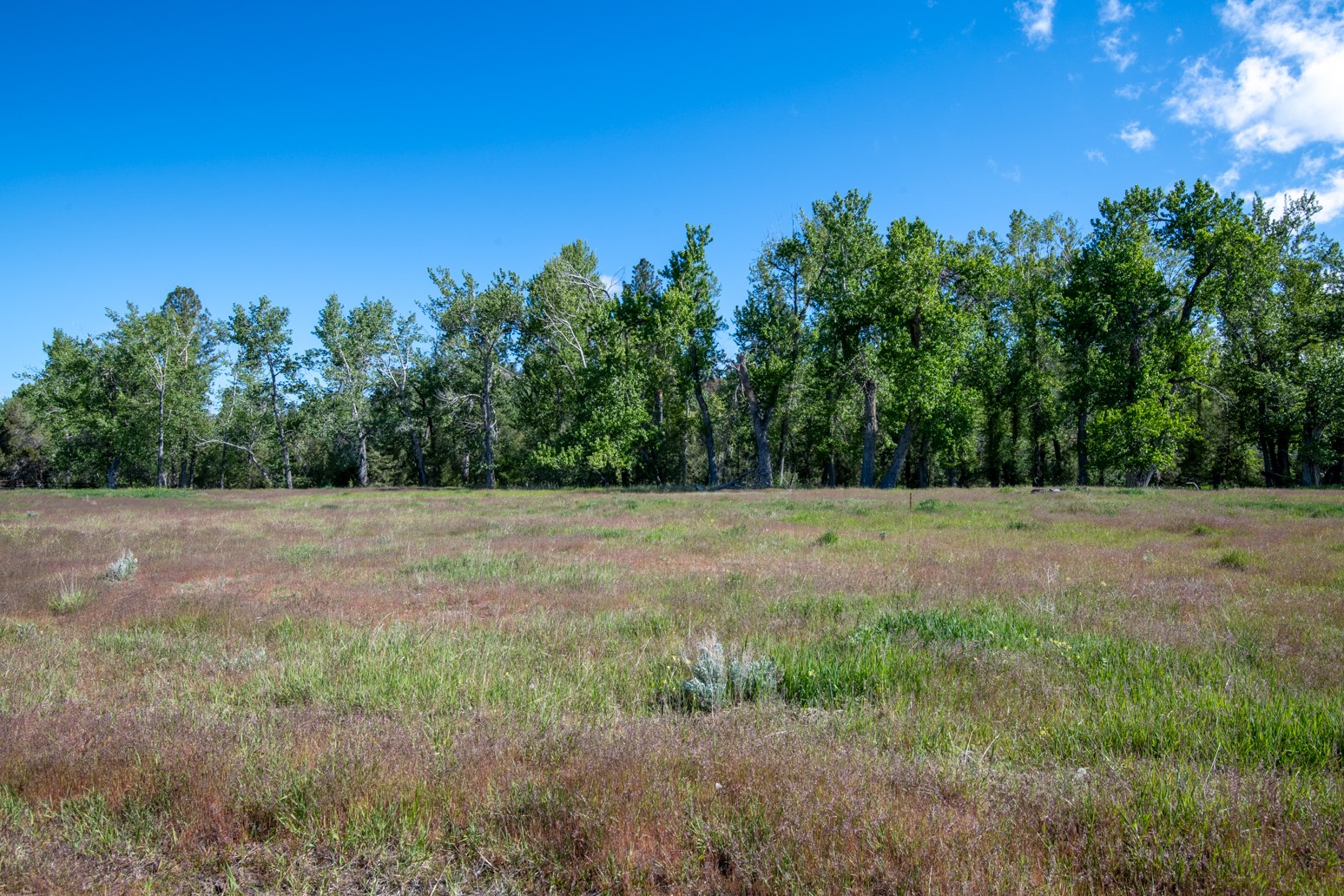 25-a Drovers Trail Property Photo 3