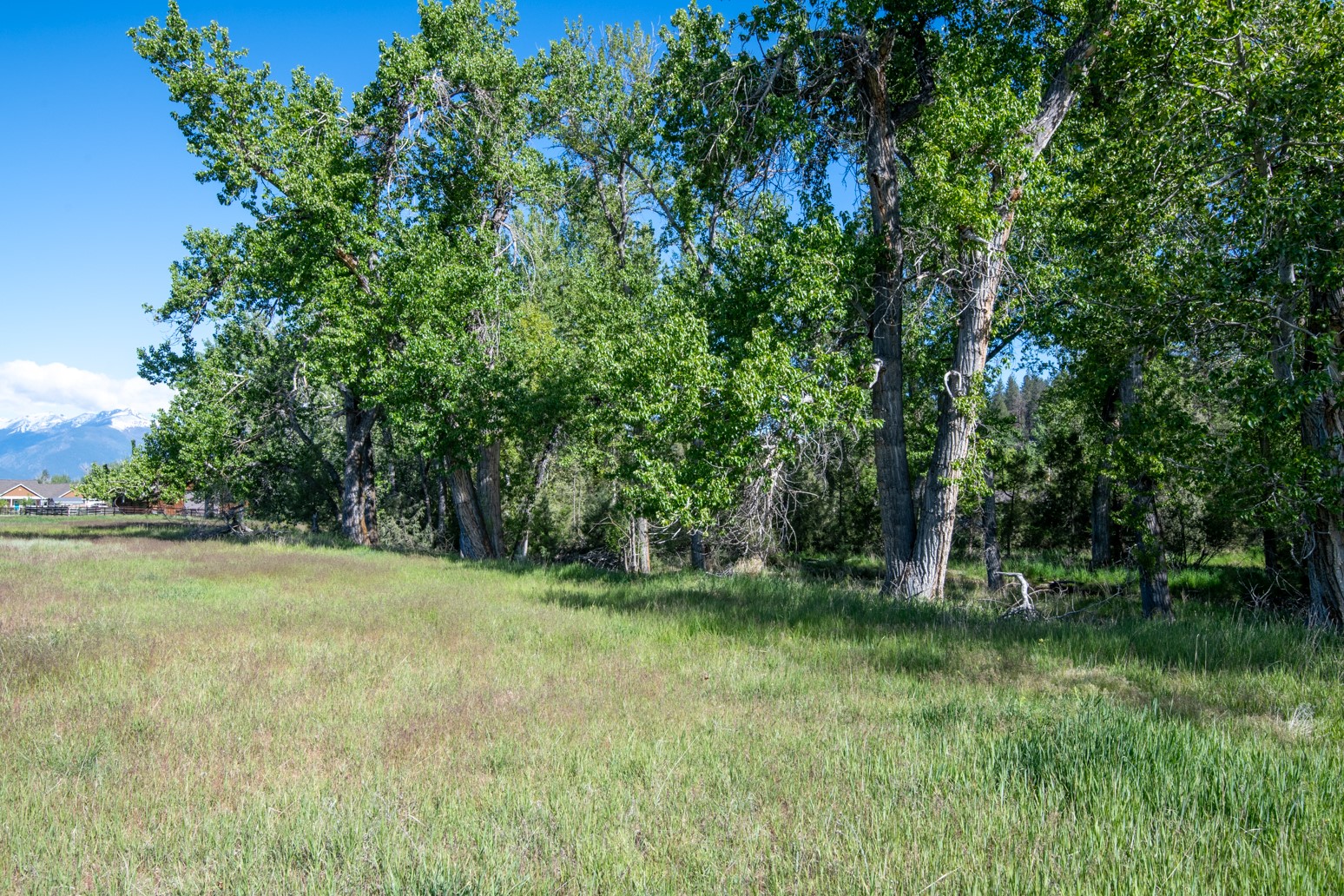 25-a Drovers Trail Property Photo 8