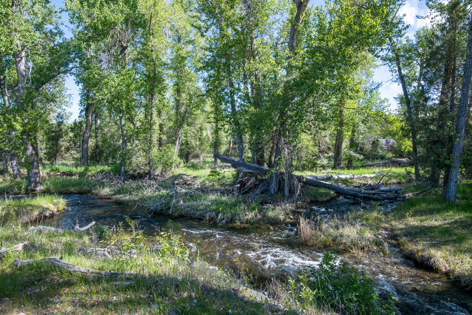 25-a Drovers Trail Property Photo 9