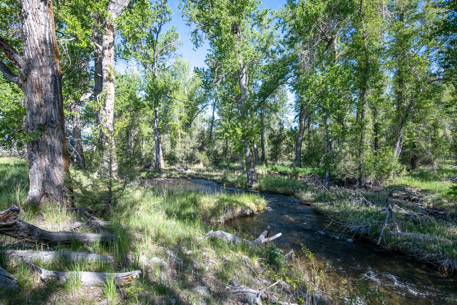 25-a Drovers Trail Property Photo 10