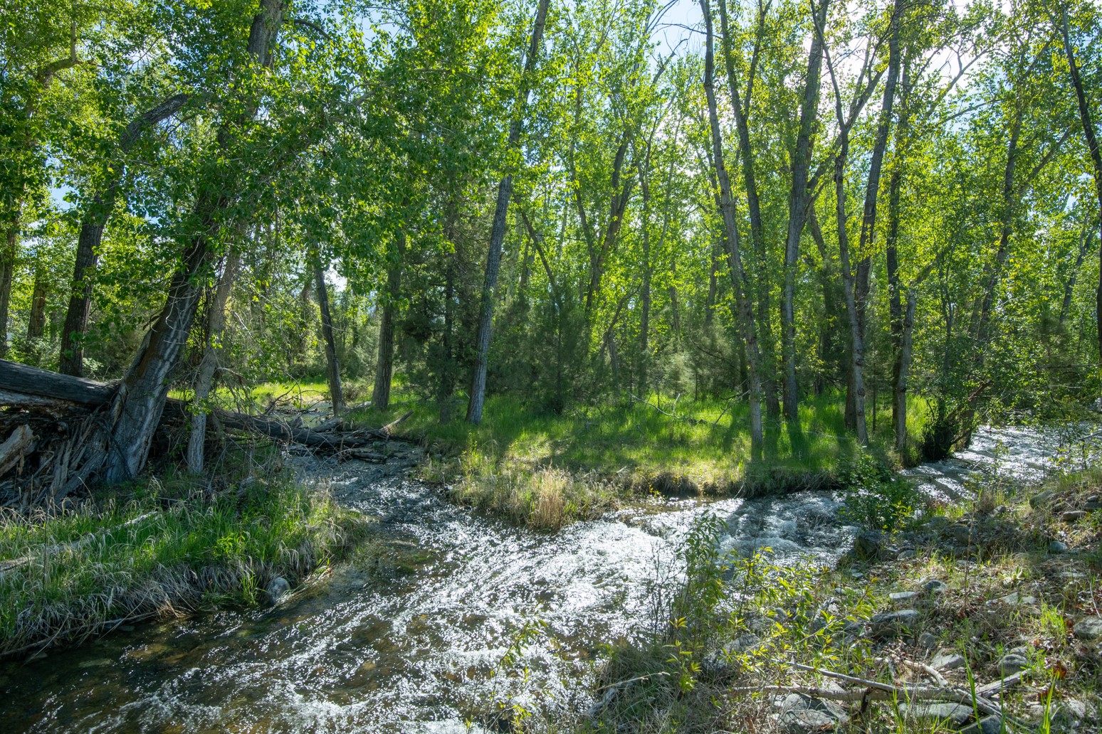 25-a Drovers Trail Property Photo 11