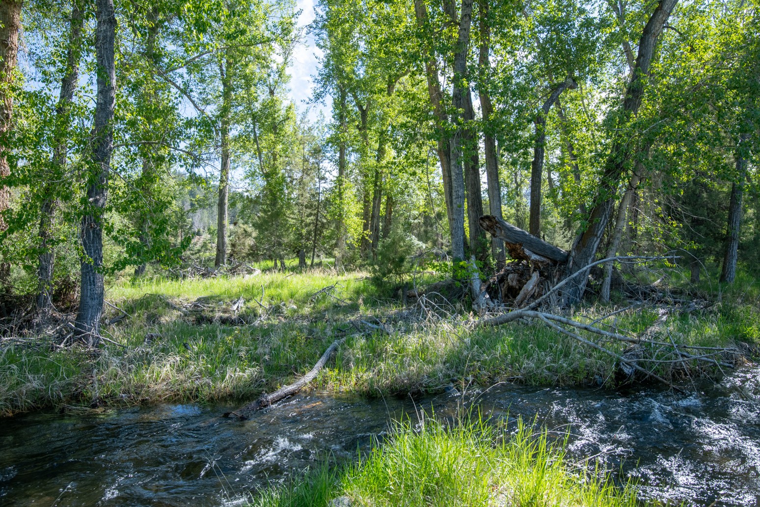 25-a Drovers Trail Property Photo 12