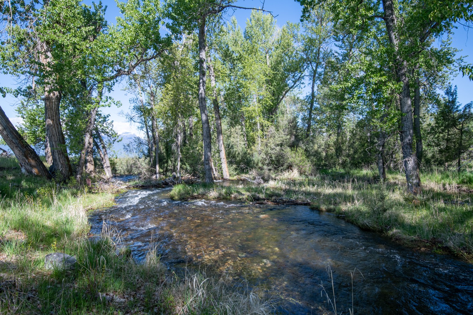 25-a Drovers Trail Property Photo 13