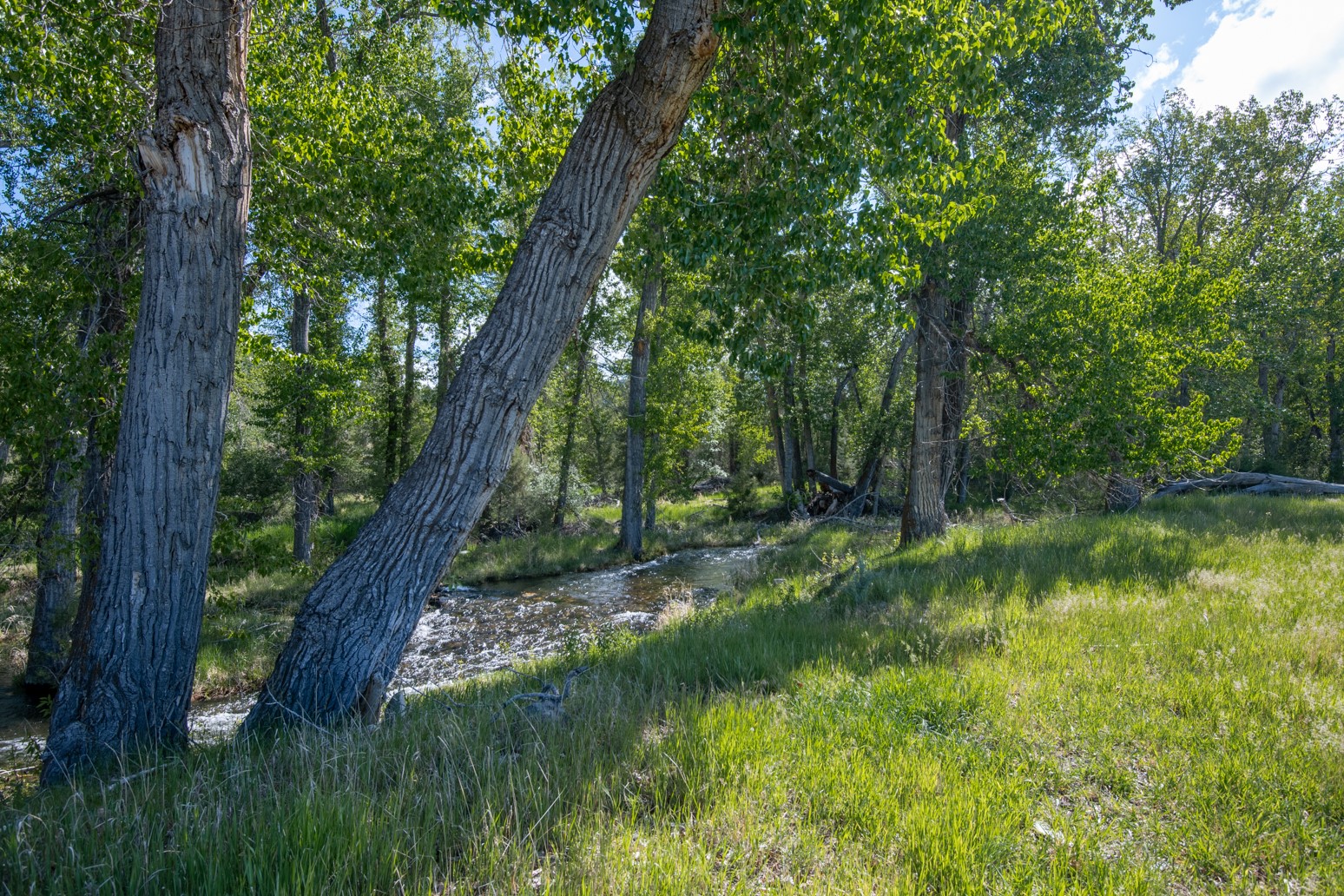 25-a Drovers Trail Property Photo 15