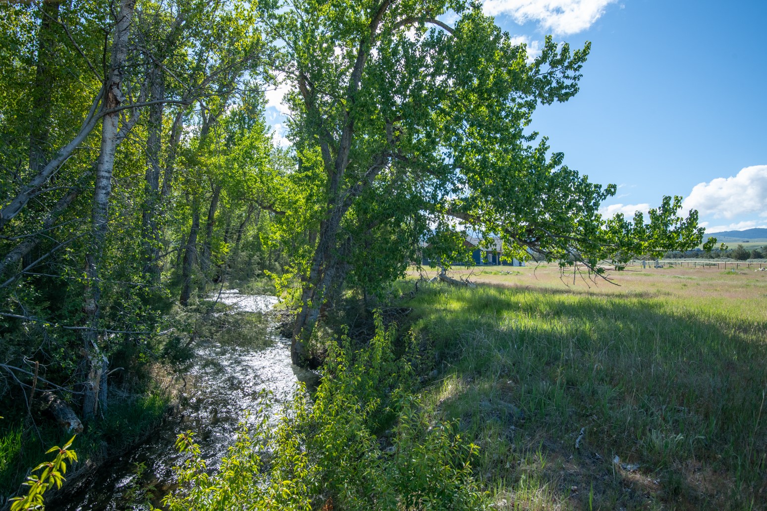 25-a Drovers Trail Property Photo 16