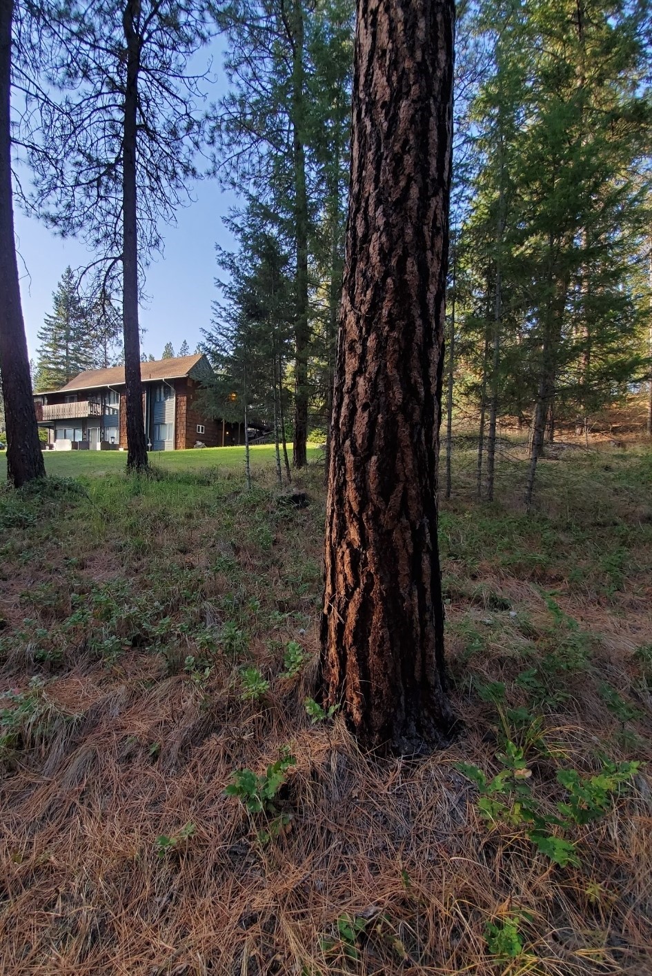129 Airfield Road Property Photo 19