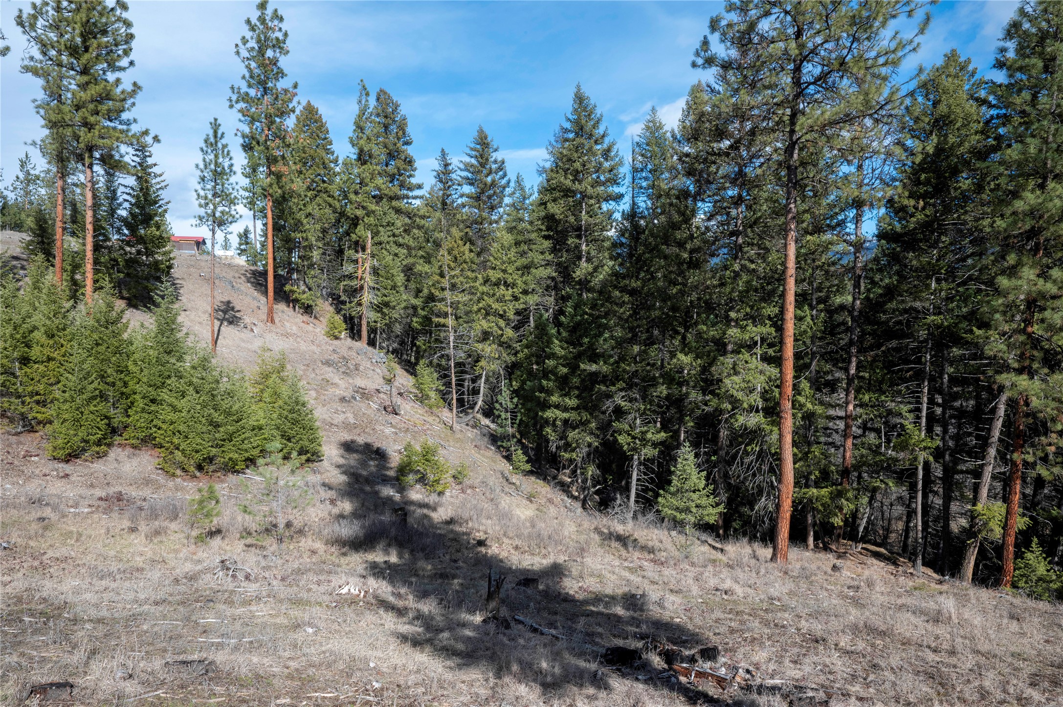 Nhn High Country Road Property Photo 24