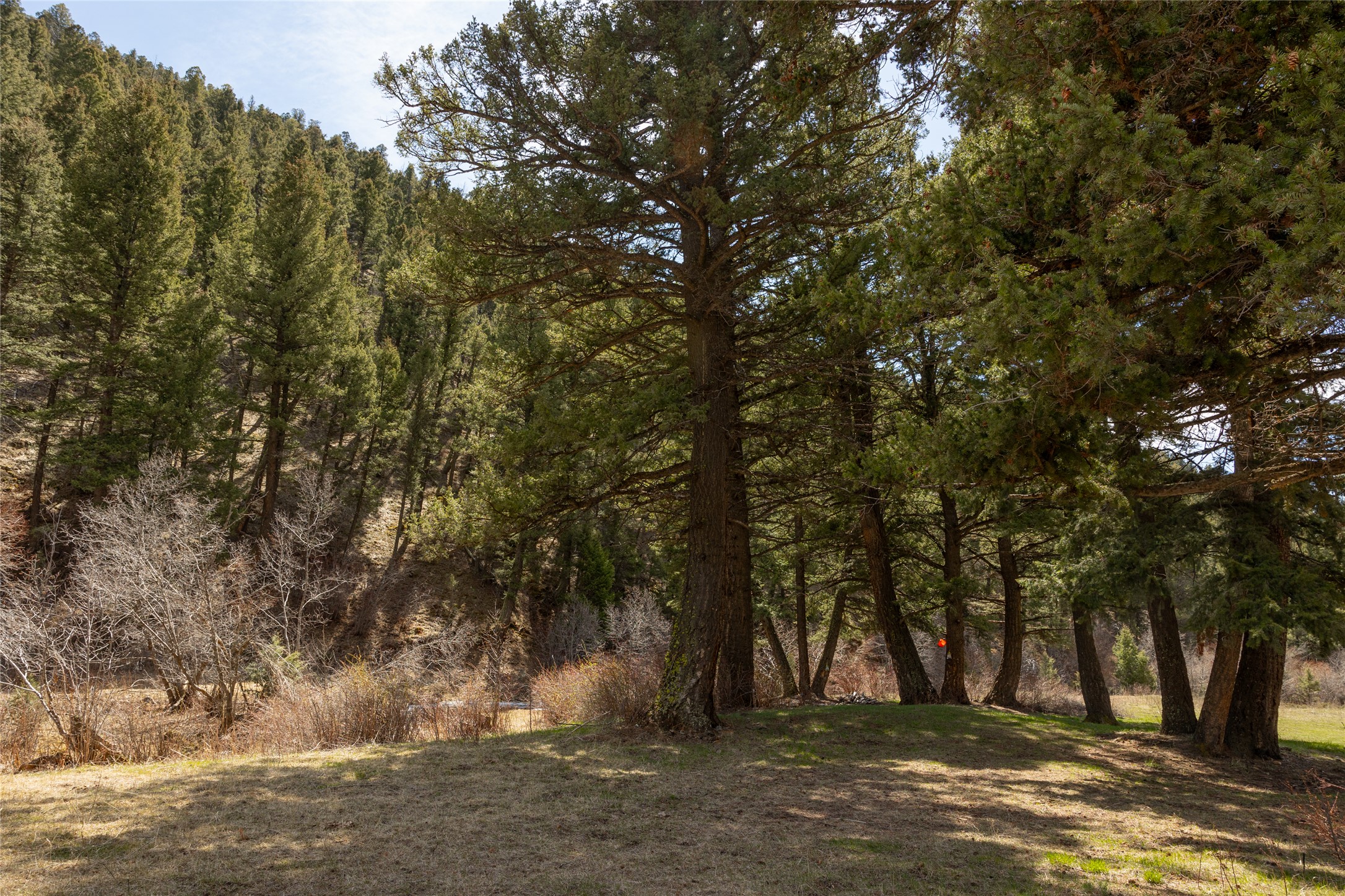 Tbd Elkhorn Road Property Photo 8