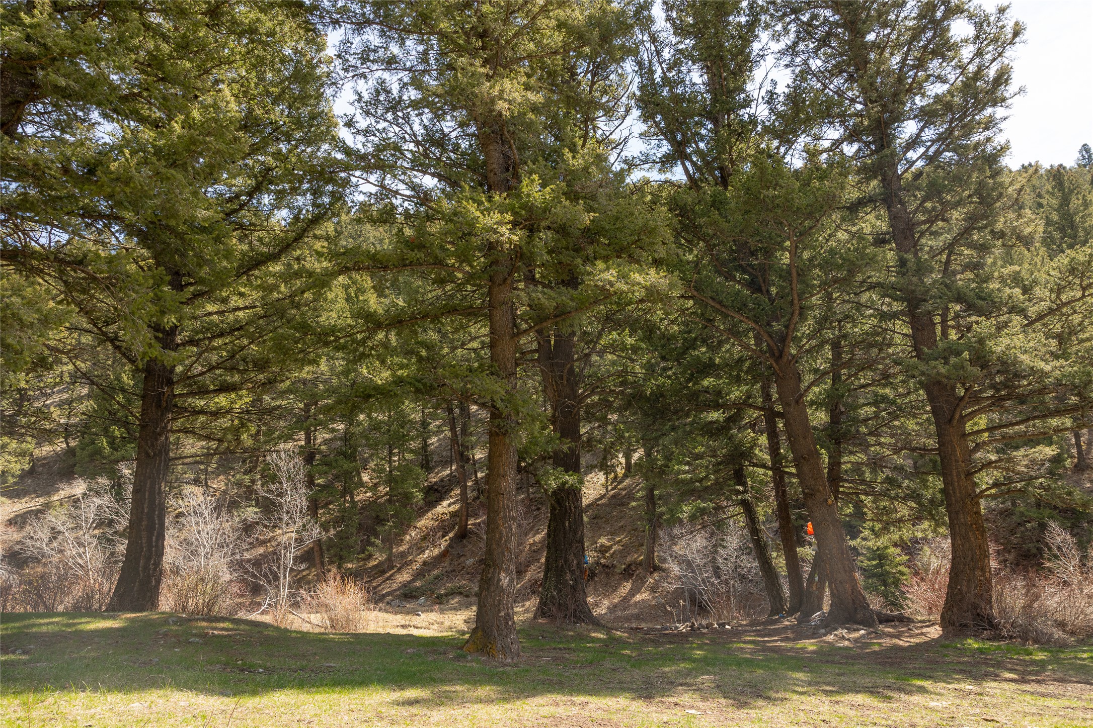 Tbd Elkhorn Road Property Photo 9