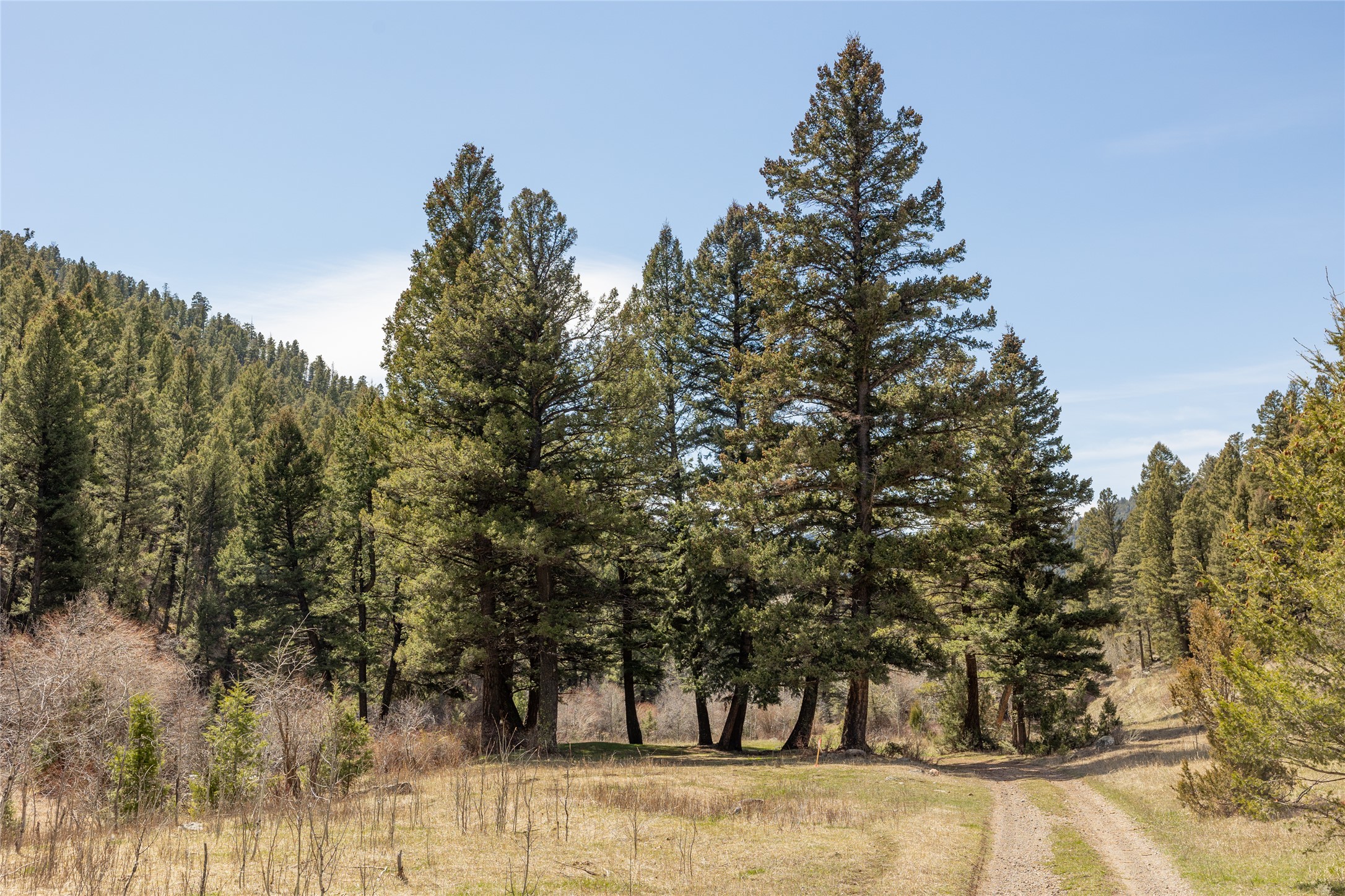 Tbd Elkhorn Road Property Photo 11