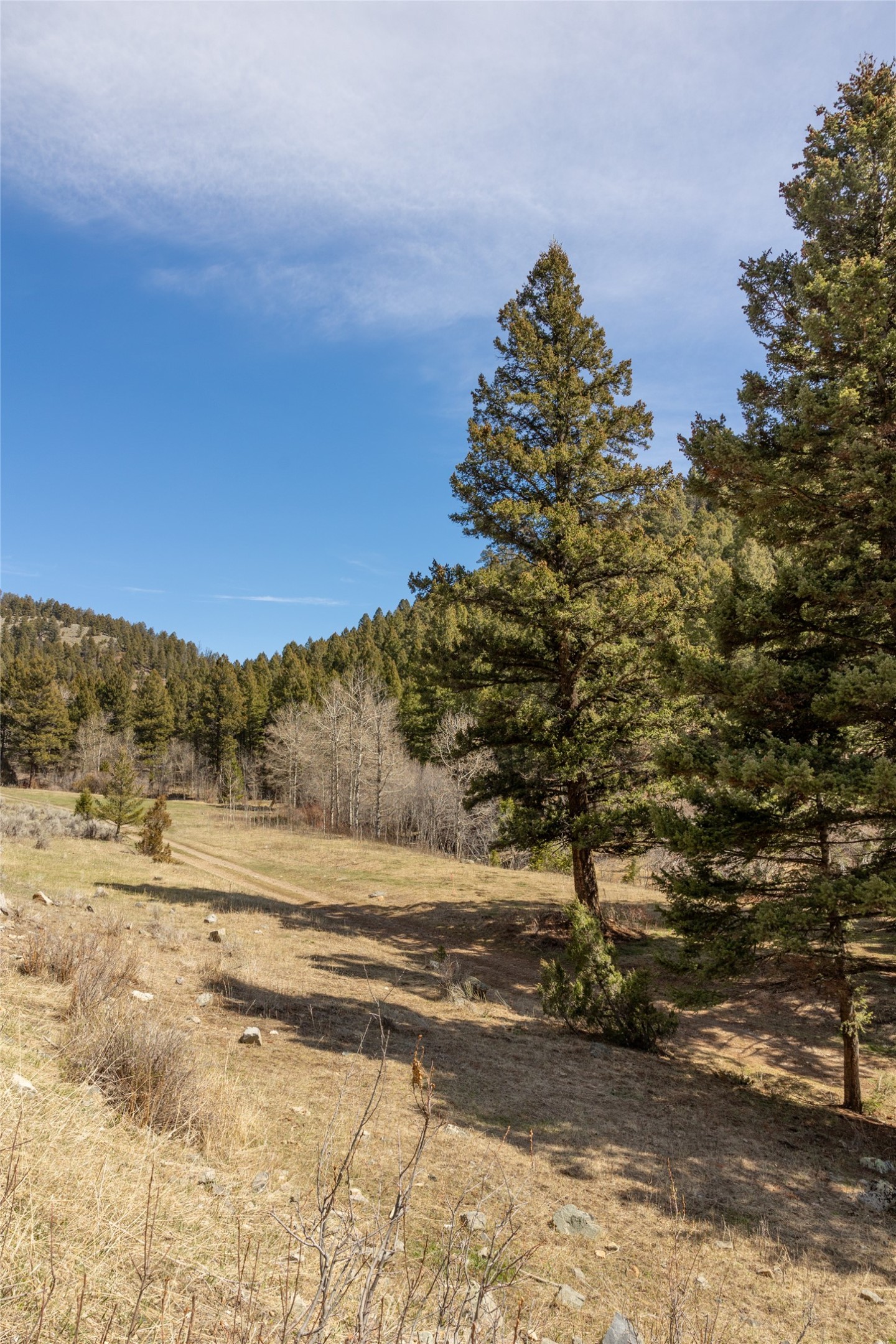 Tbd Elkhorn Road Property Photo 16