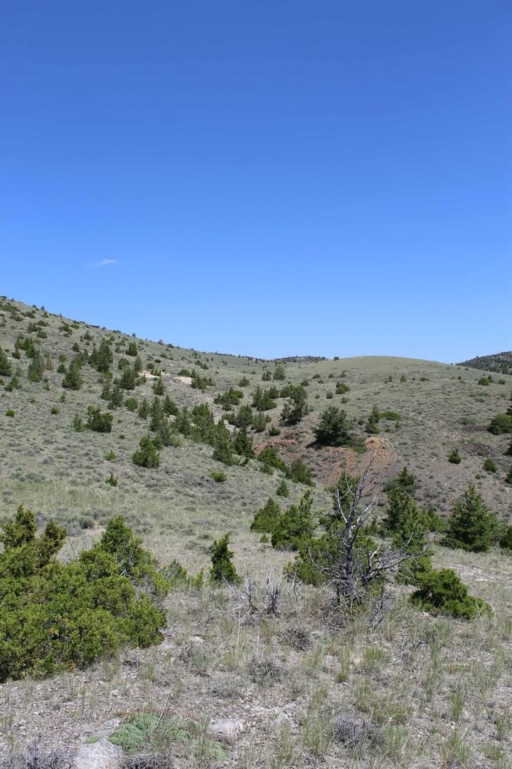 Tbd Silver Light Lode & Champion Lode Property Photo 1