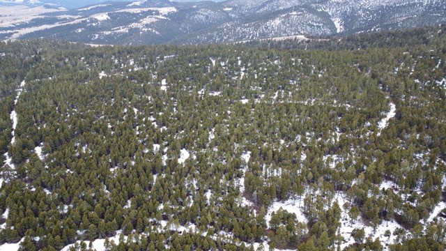 Tbd Turk Road Property Photo 2