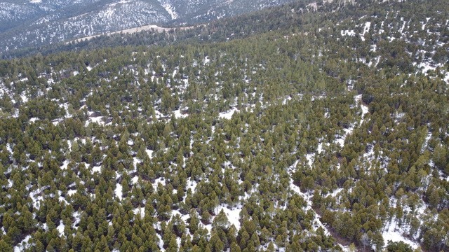 Tbd Turk Road Property Photo 3