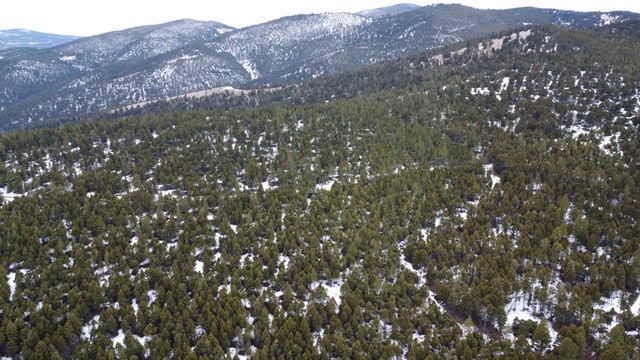 Tbd Turk Road Property Photo 4