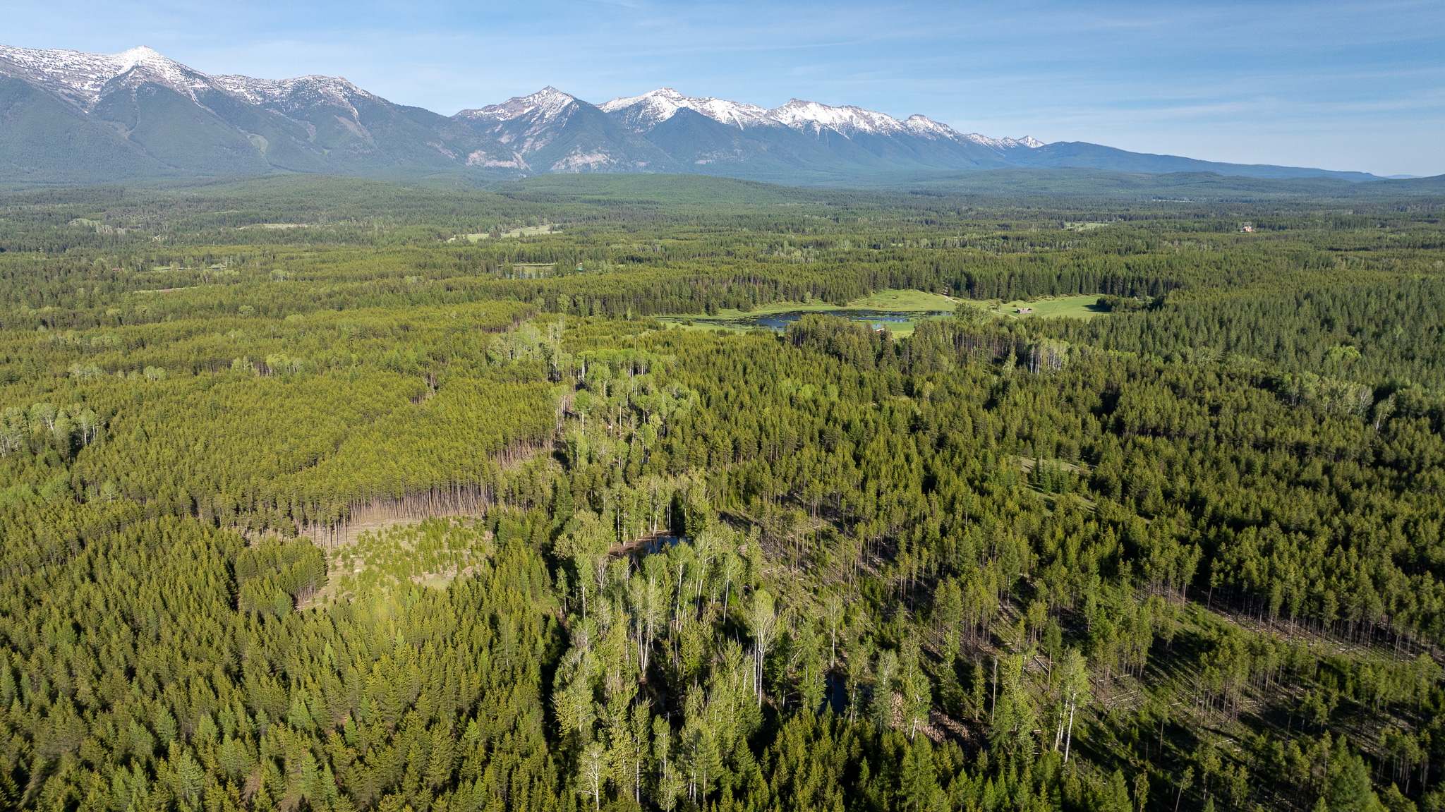 699 Glacier-elk Creek Road Property Photo 13
