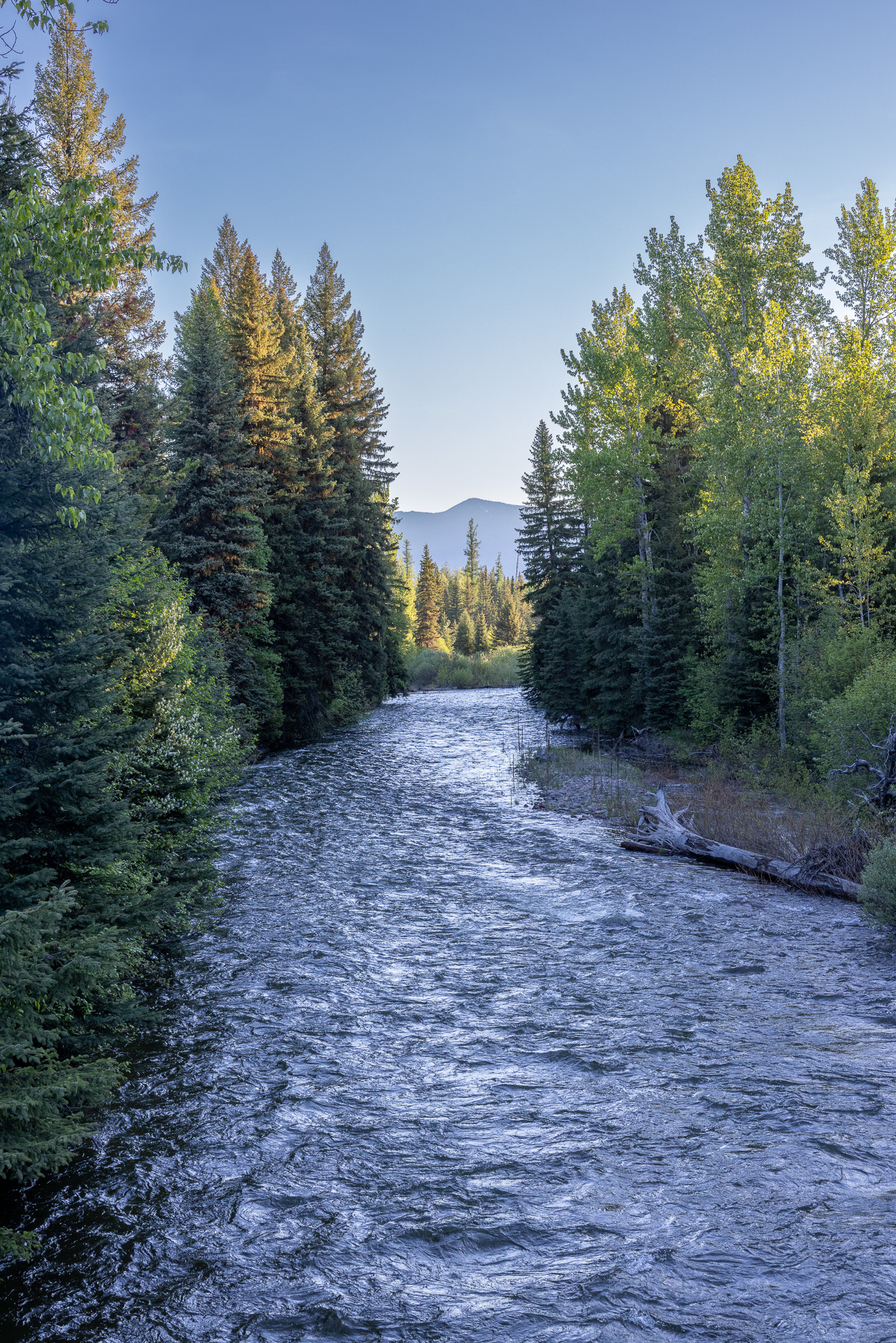 699 Glacier-elk Creek Road Property Photo 72