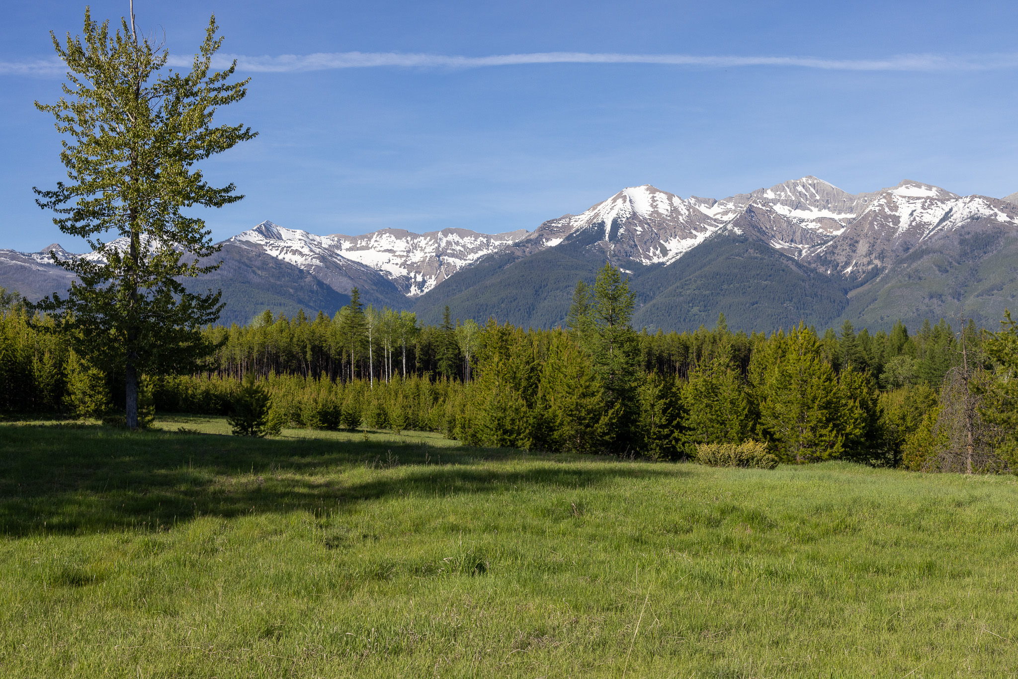 699 Glacier-elk Creek Road Property Photo 77