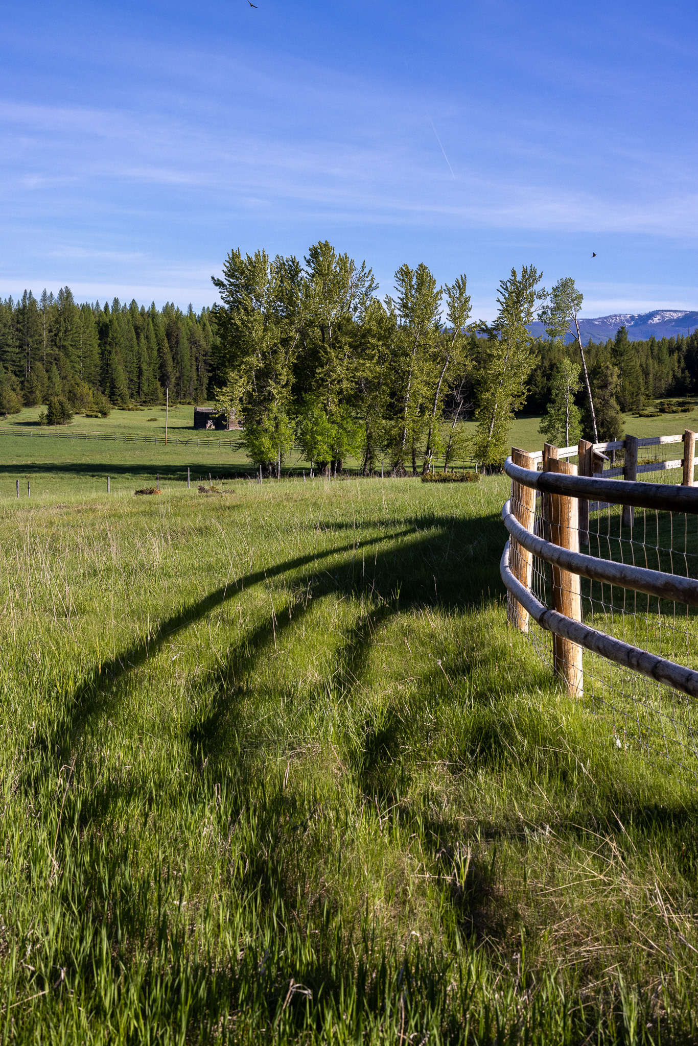699 Glacier-elk Creek Road Property Photo 88