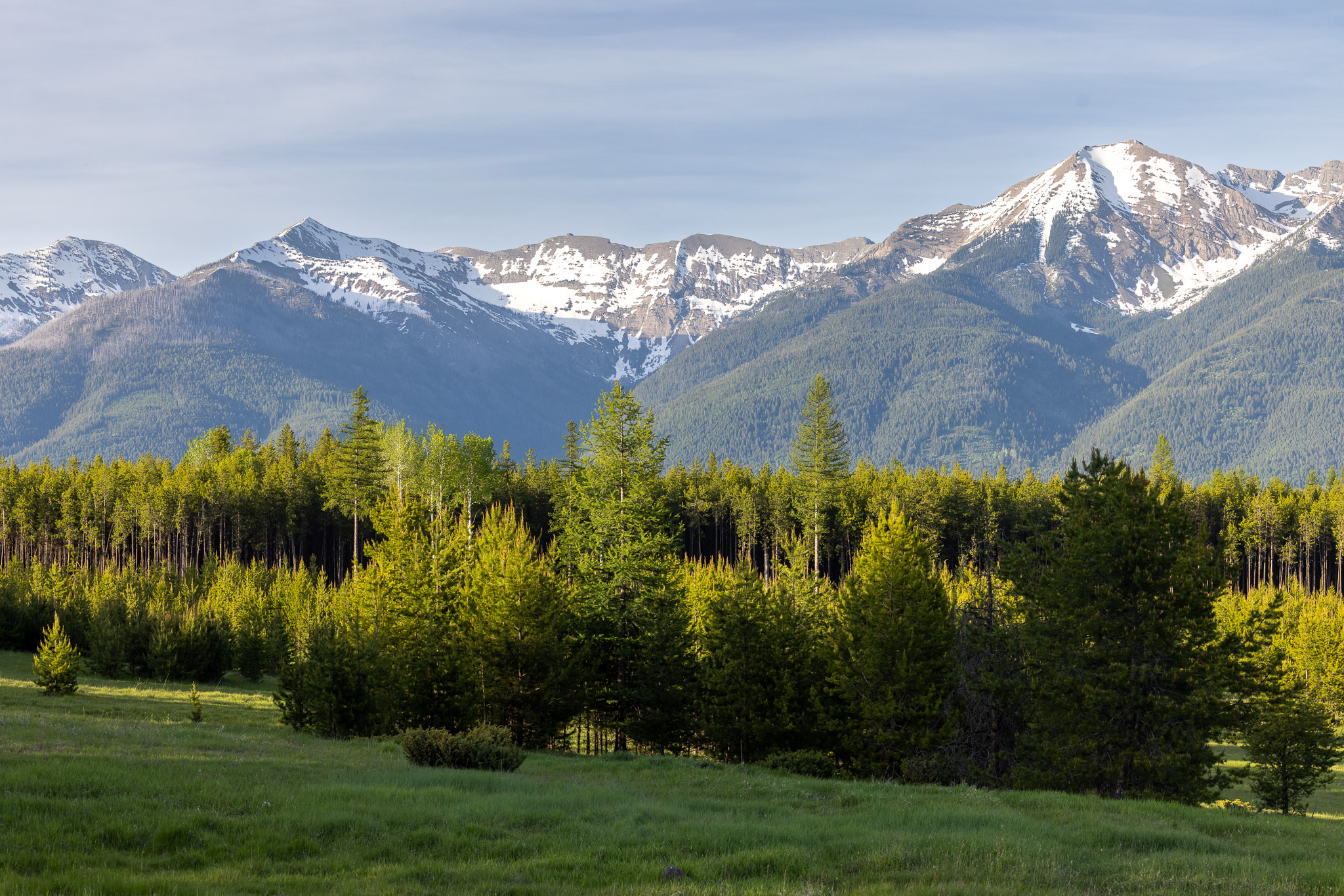 699 Glacier-elk Creek Road Property Photo 91