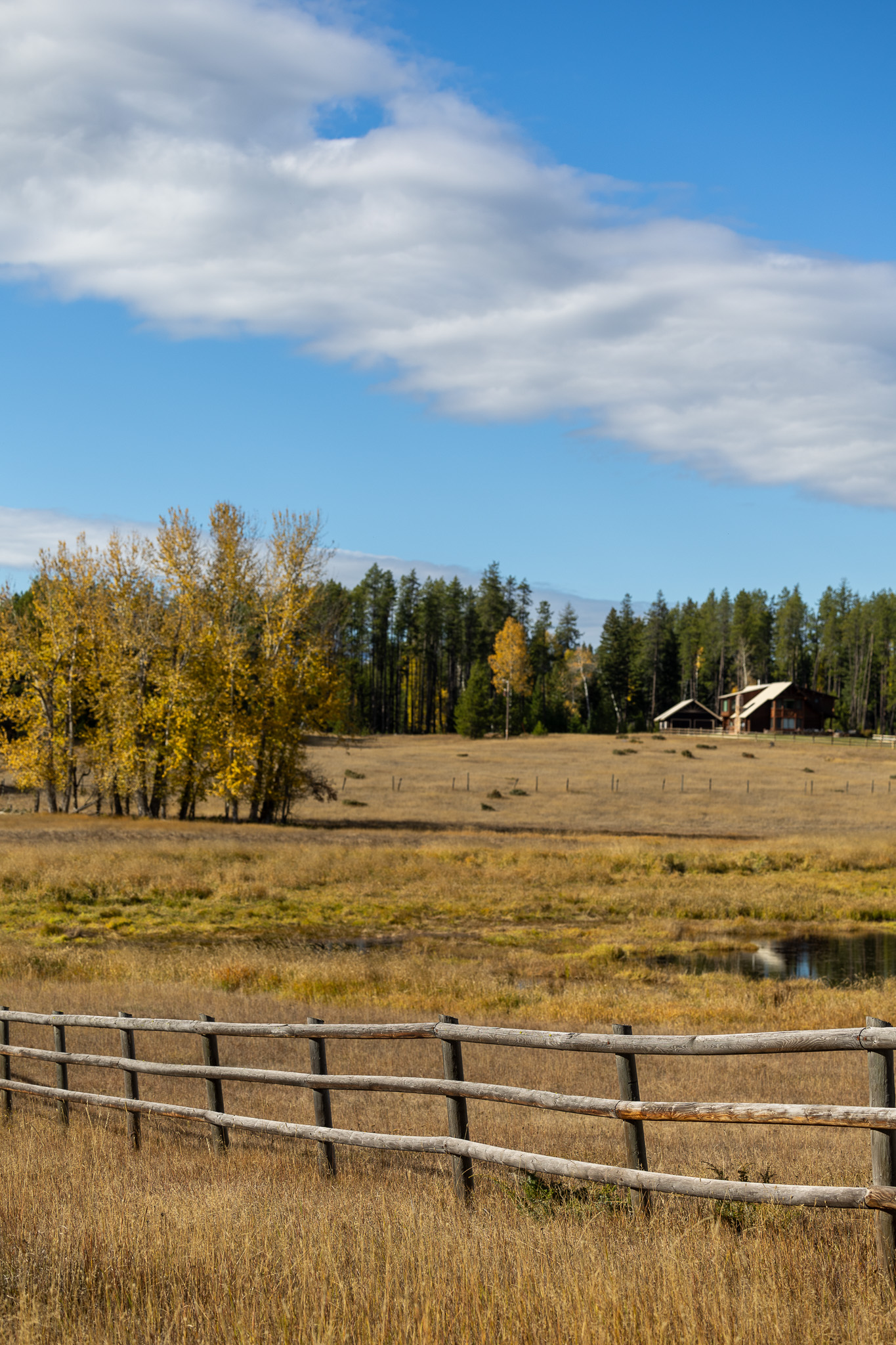 699 Glacier-elk Creek Road Property Photo 103