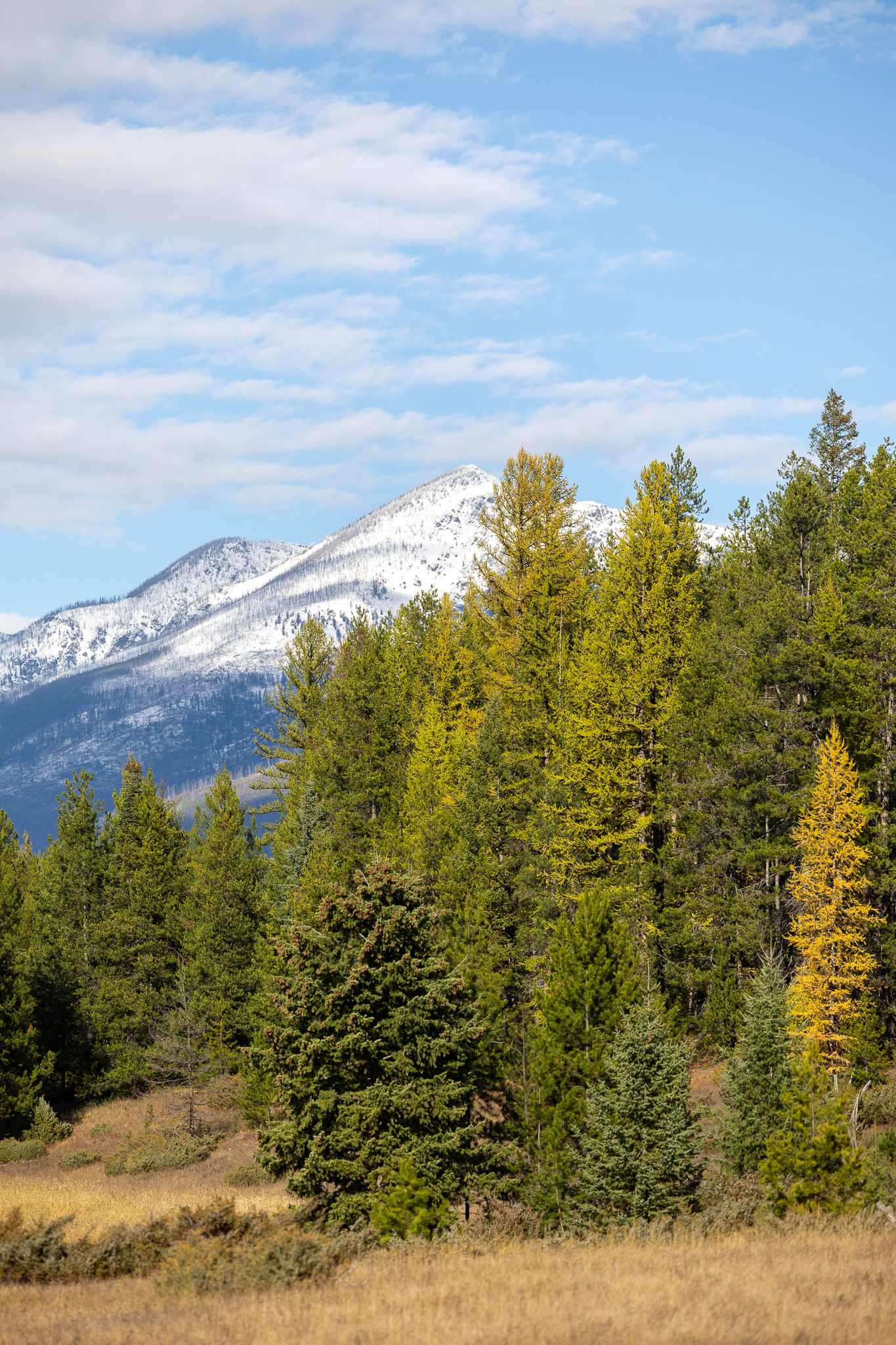 699 Glacier-elk Creek Road Property Photo 106