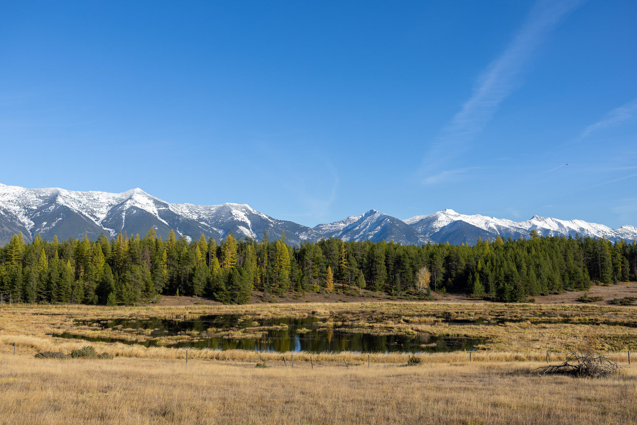 699 Glacier-elk Creek Road Property Photo 112