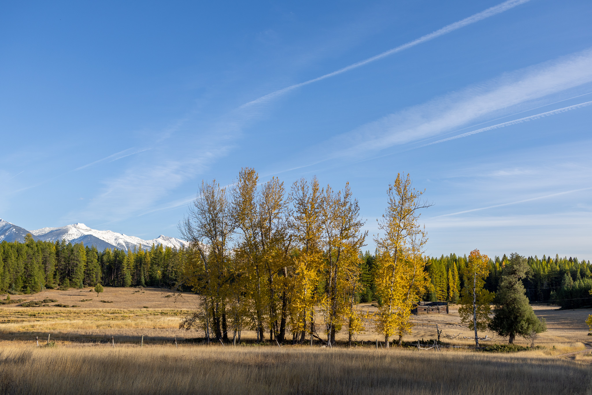 699 Glacier-elk Creek Road Property Photo 114