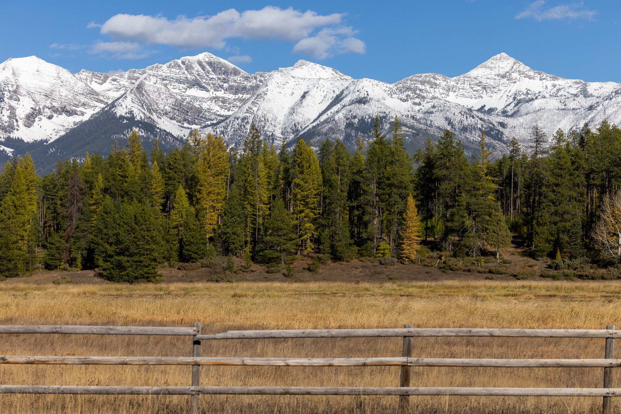 699 Glacier-elk Creek Road Property Photo 116