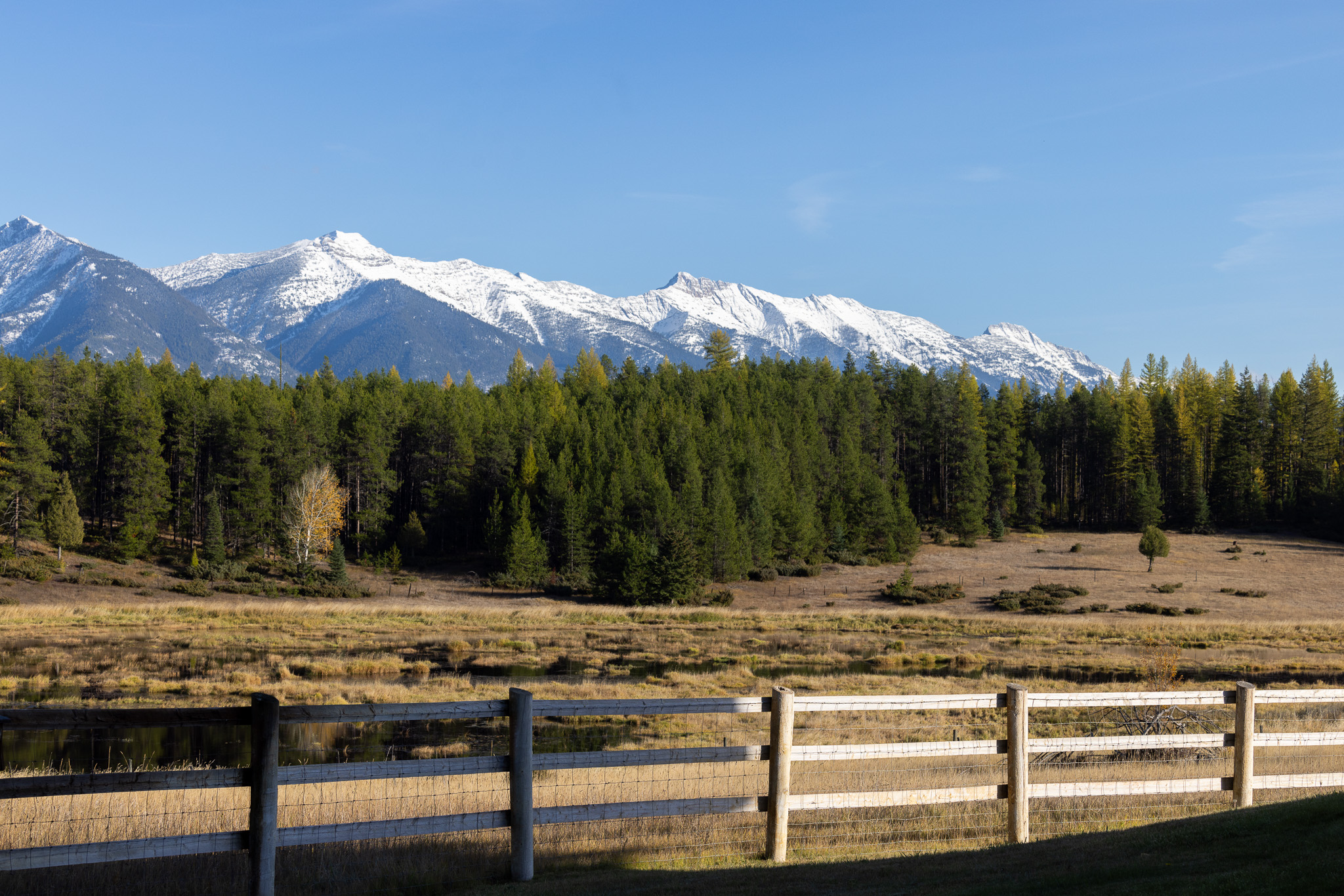 699 Glacier-elk Creek Road Property Photo 119