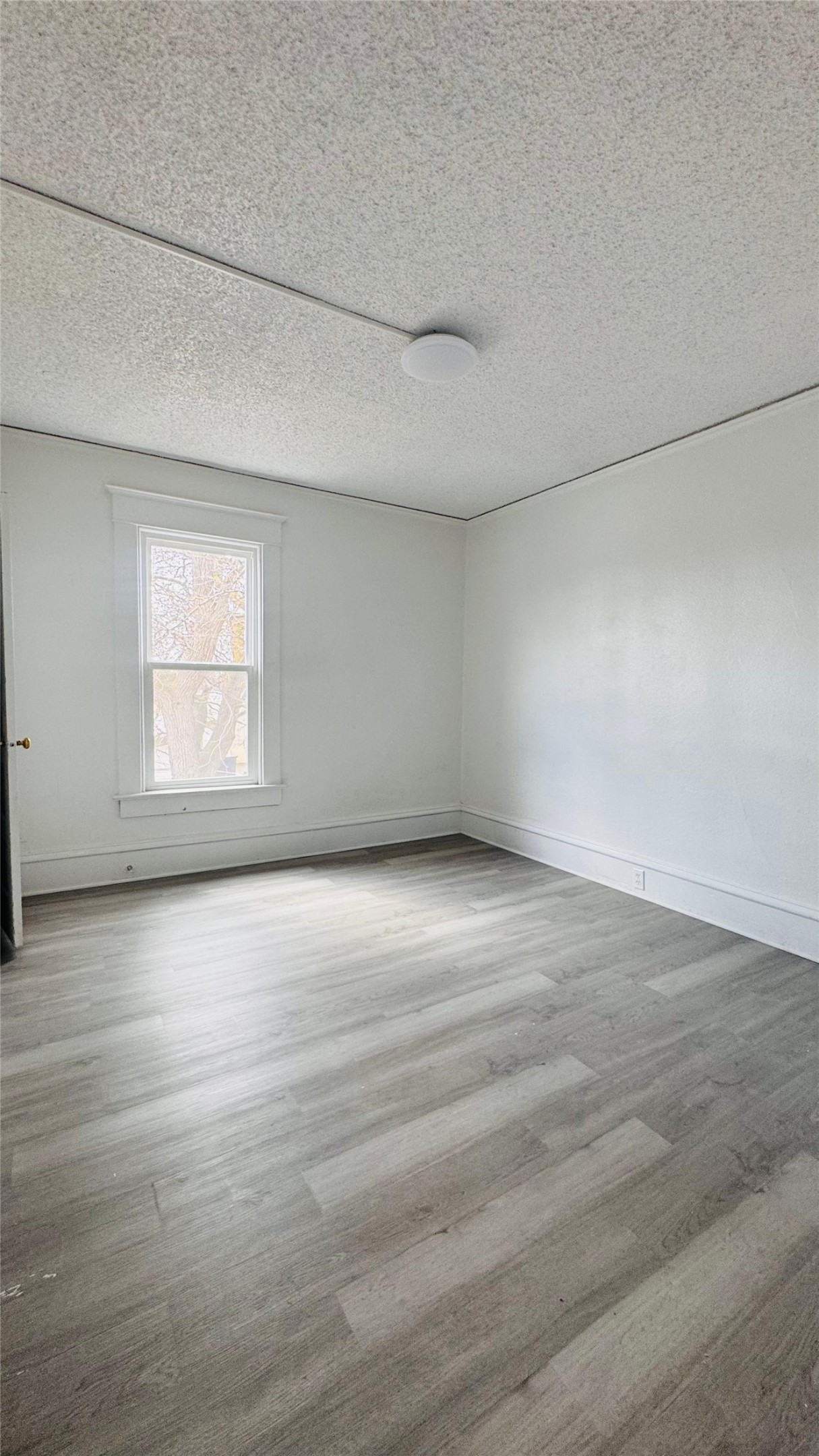 604 2nd Avenue S Property Photo 25