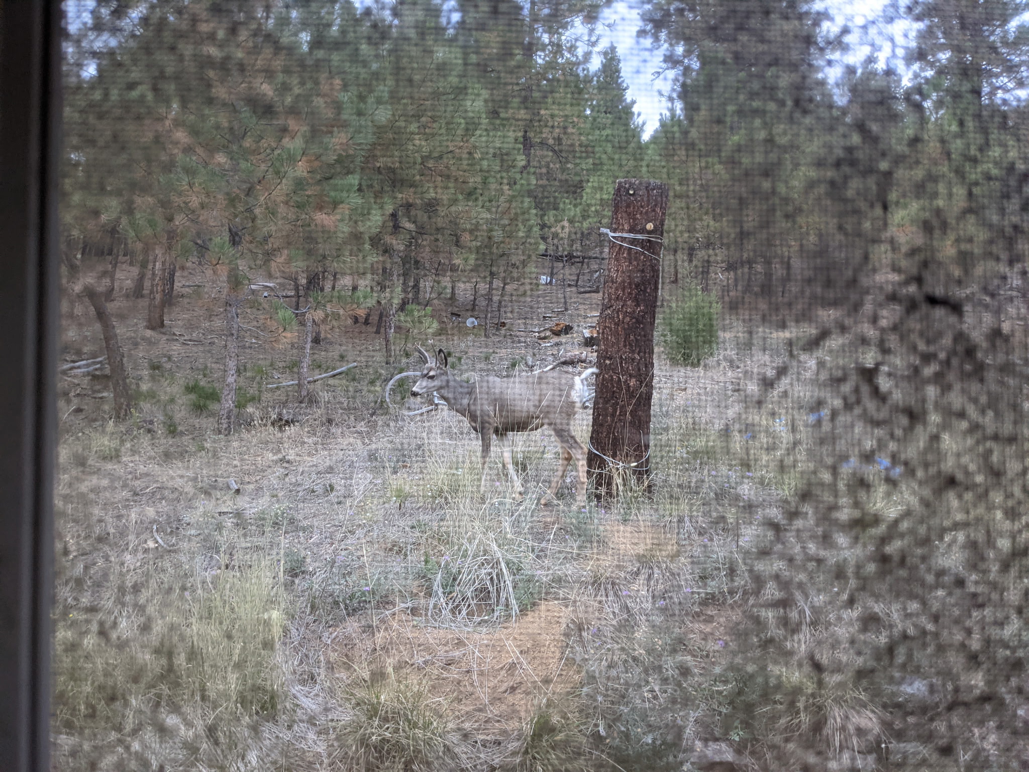 211 Warm Springs Creek Road Property Photo 7