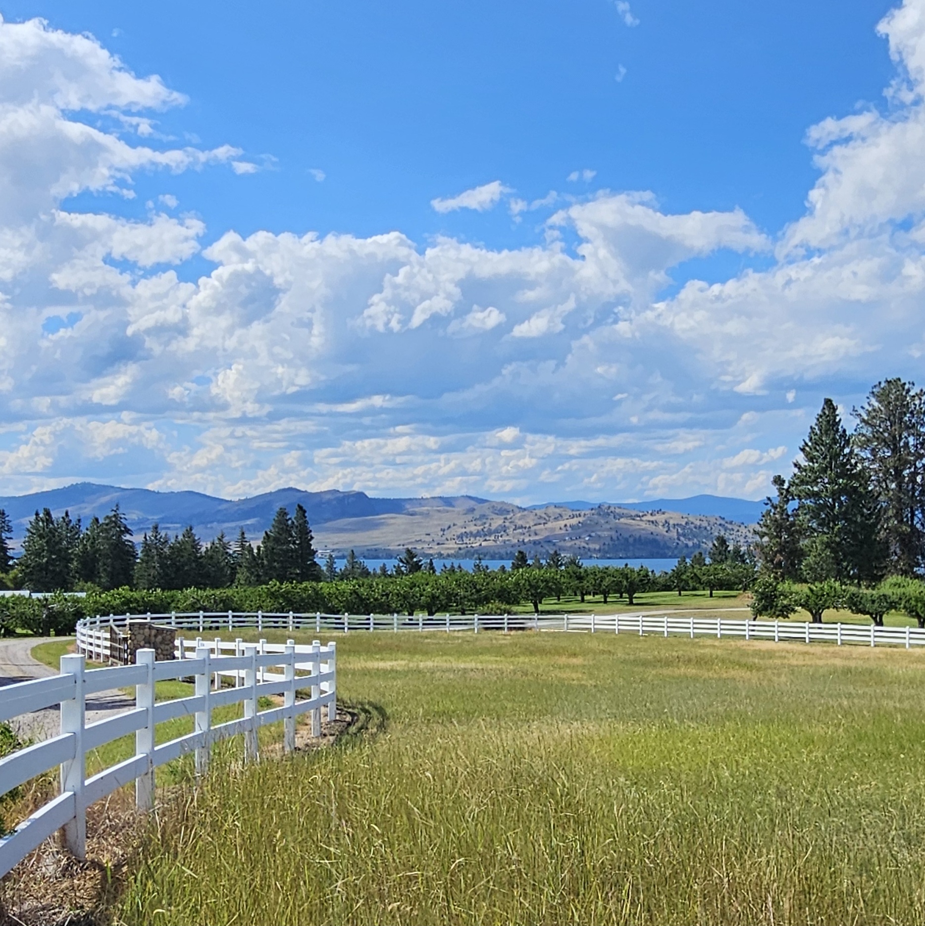 39784 Us Hwy 93 Property Photo