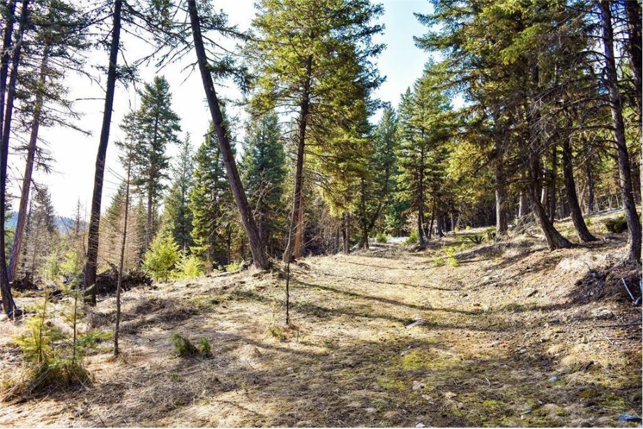 270 Tomahawk Trail Property Photo 1